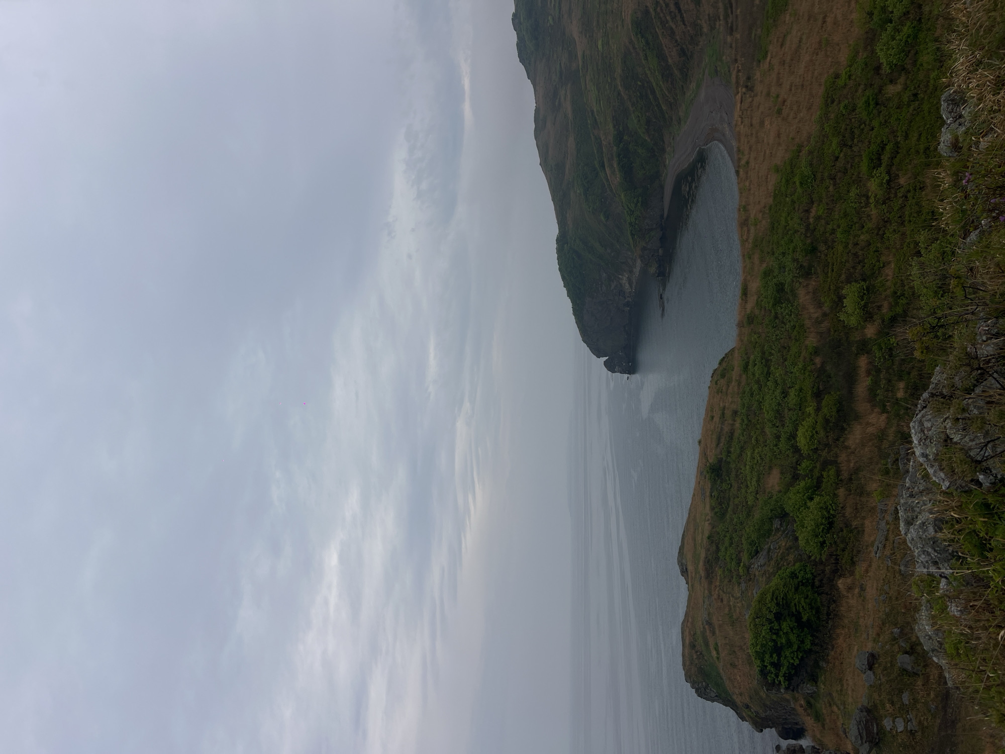 The image depicts a coastal scene, possibly near Gvozdevo, Russia, characterized by steep, grassy cliffs descending to a gray, overcast sea. The sky is uniformly cloudy. There is a small cove or inlet formed by the cliffs. Vegetation, including green shrubs and brown grasses, covers the cliffside. The water surface appears calm. No people or discernible objects are present in the water. Rocks are visible along the cliff edges.