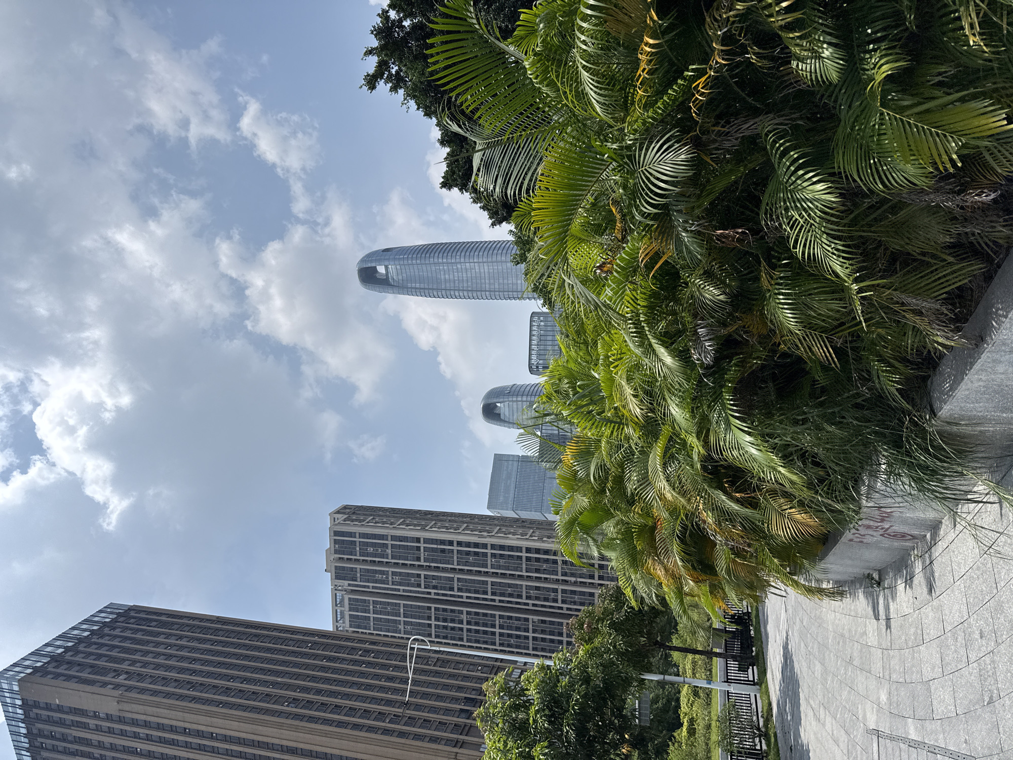 An urban landscape is captured from a low-angle perspective, looking up towards a clear, partly cloudy sky. The scene is dominated by several towering modern skyscrapers and lush green vegetation.
In the upper-middle and right, a very tall, cylindrical skyscraper with a distinctive curved, almost oval top stands prominently against the sky. Its facade appears to be made of glass and steel, reflecting the light. Further down and to the left of this, other multi-story rectangular buildings with numerous windows and varied architectural designs are visible. One building in the lower left features a textured, possibly concrete, facade with many uniform window sections.
The right side of the image is heavily framed by dense, vibrant green foliage, primarily large palm fronds, some with lighter green or yellowish tips, suggesting ample sunlight. These plants create a natural contrast with the man-made structures.
A paved pedestrian walkway with light-colored, square-patterned tiles is visible in the lower right corner, alongside a low concrete wall or planter. On this concrete surface, some unidentifiable red graffiti or markings are present.
The sky is bright and appears to be a clear day with scattered white clouds. No people or specific activities are depicted, giving the scene a tranquil, architectural focus. The presence of modern skyscrapers and subtropical vegetation aligns with the provided location context of Haizhu District, China, likely portraying a part of Guangzhou.