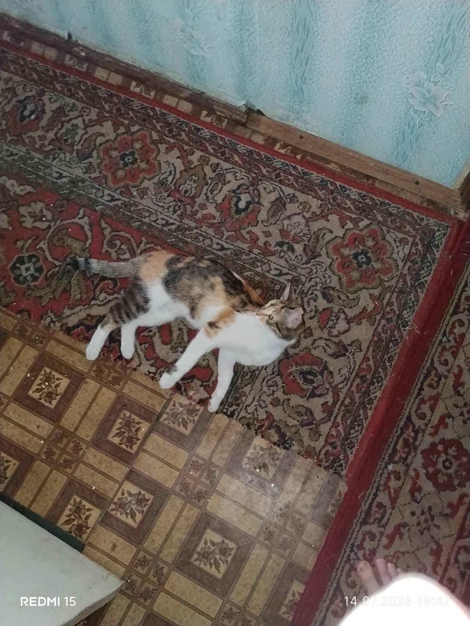 Memory