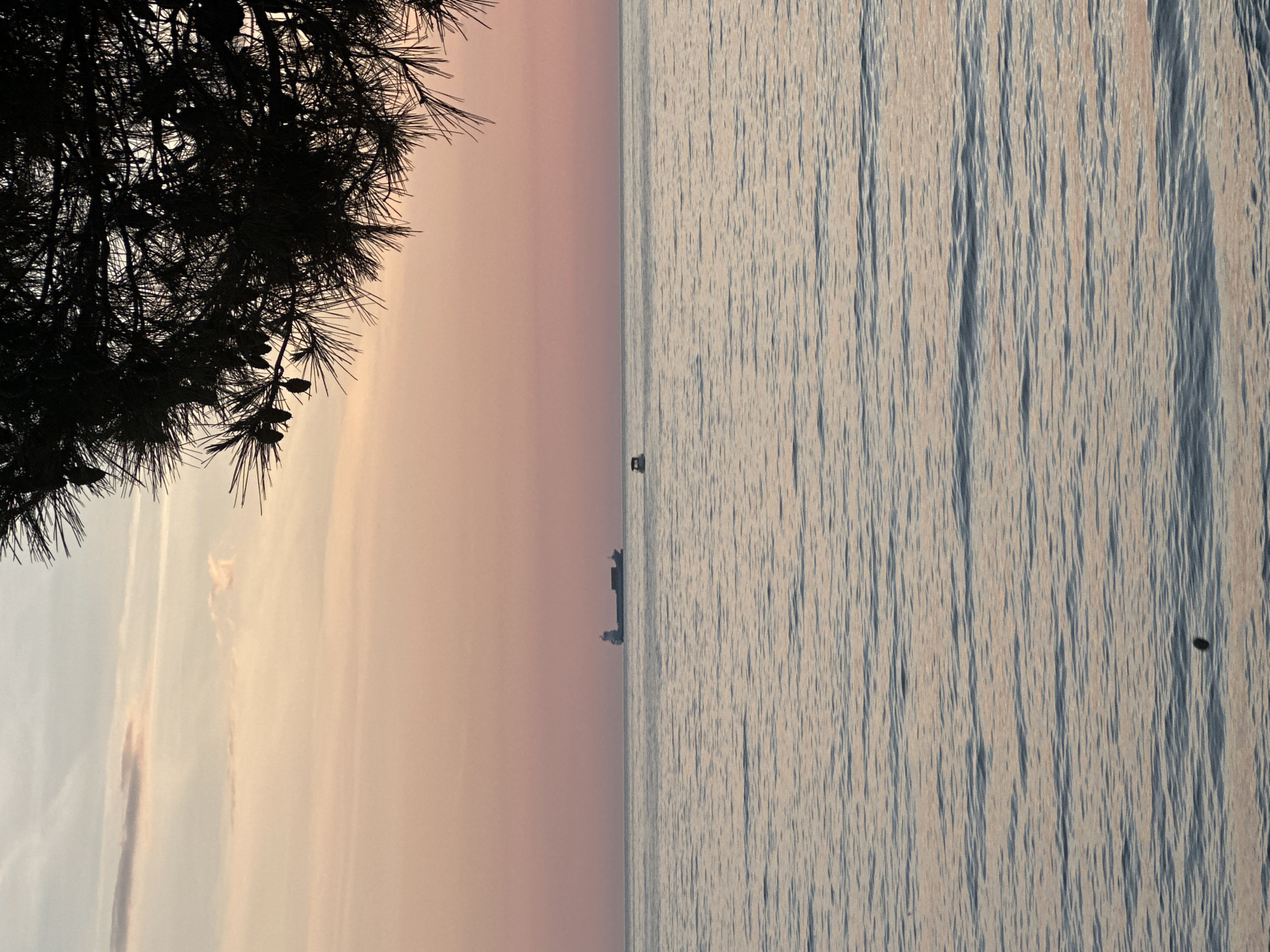 The image depicts a waterfront scene in Šušanj, Montenegro, at dawn or dusk. On the left, a silhouette of a pine tree occupies the upper corner. The background reveals a pale sky transitioning from light to darker hues, indicative of sunrise or sunset. The horizon line is clear, with what appears to be a cargo ship and a smaller vessel visible. The sea covers the right half of the image, showing textured, light-reflecting water. A floating object, possibly a buoy, is visible in the water. The overall scene suggests a serene coastal setting.