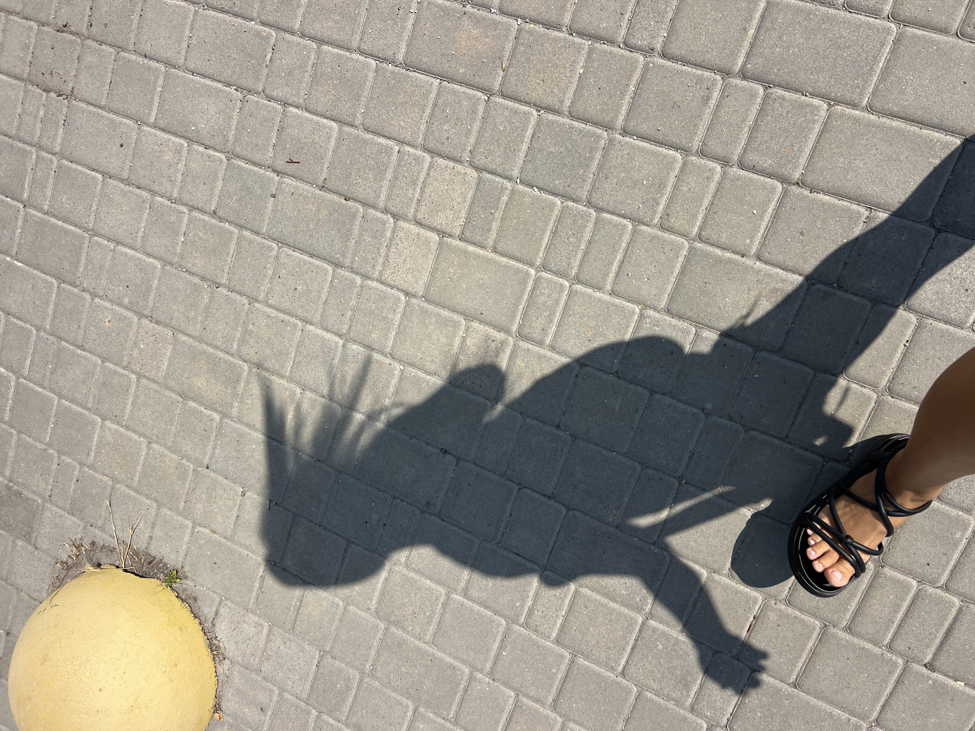 A person's shadow is cast on a sunlit, gray brick pathway in Fontanka, Ukraine. The shadow appears to be of a person walking, with their left foot, wearing a black sandal, prominently visible in the foreground. A yellow, spherical concrete bollard is positioned in the upper left corner of the image. The bricks are laid in a repeating pattern.