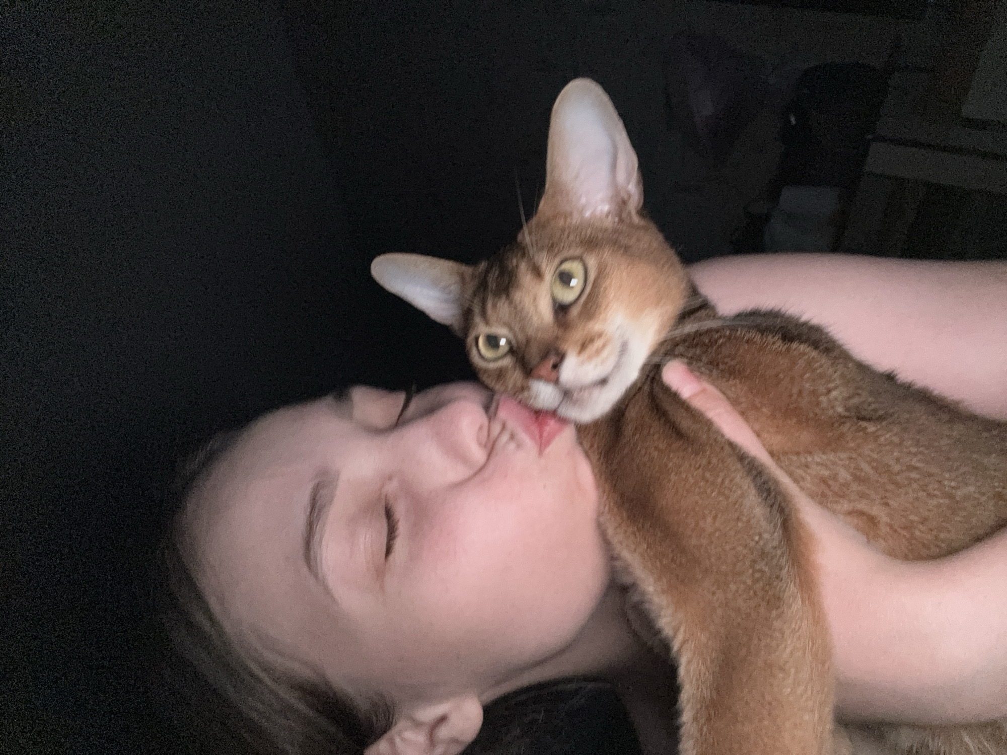 In the city of Chaikovsky, Russia, a close-up, dimly lit image captures a young adult female embracing and kissing a ruddy Abyssinian cat. The female, positioned on the left, has light hair partially visible, closed eyes, and puckered lips pressed against the cat's head. Her left arm is visible holding the cat, and a bare shoulder is visible on the right. The cat, appearing to be a sorrel Abyssinian with distinctive large, pointed ears and alert green-gold eyes, looks directly towards the viewer with a slightly surprised expression. Its reddish-brown fur, exhibiting ticking, is visible across its body and one paw is draped over the female's arm. The background is uniformly dark, suggesting an indoor setting with minimal ambient light, illuminated primarily by a direct flash or artificial light source.