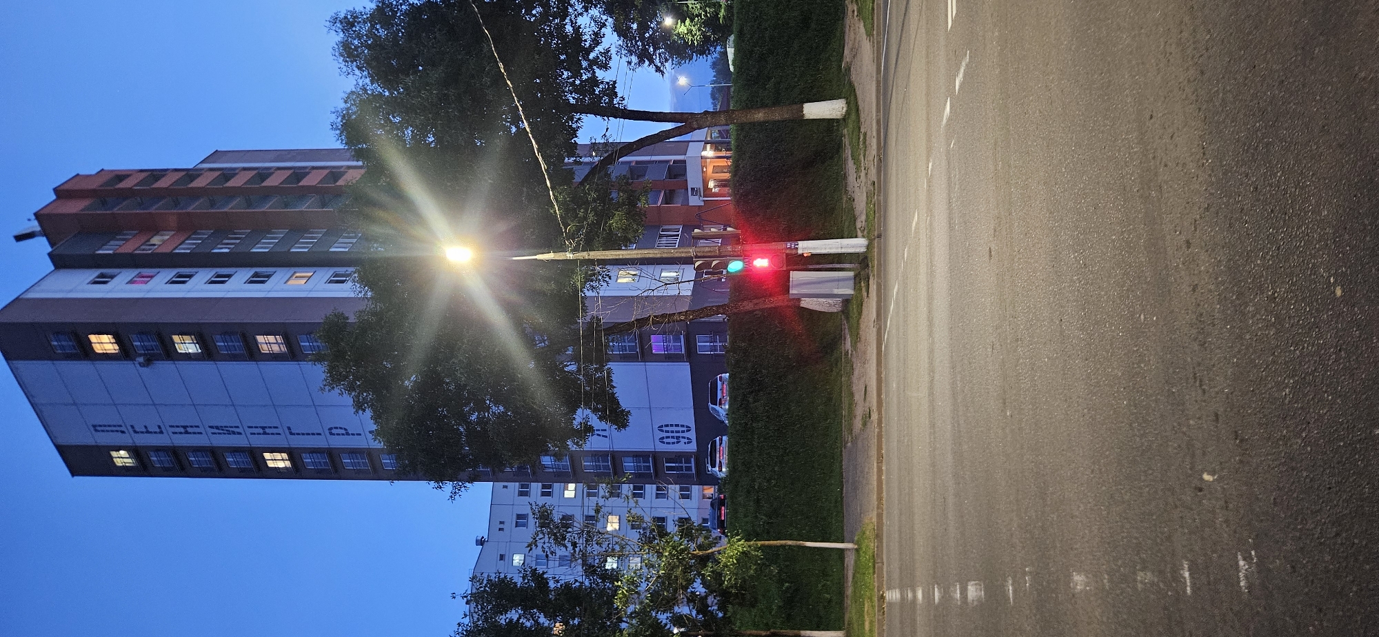 The image captures a street scene at dusk in Vitsebsk, Belarus, featuring a tall, modern apartment building with vertical lettering on its facade reading "ЛЕНИНГР". The building is illuminated by internal lights in several windows, some glowing yellow and others a soft pink. Adjacent to it is another, lighter-colored apartment building of similar height. In the foreground, a road with distinct lane markings is visible, and a traffic light shows a red signal. Two trees with visible white-painted bases stand between the road and the buildings, partially obscuring a bright streetlamp that emits a starburst effect. The sky is a deep blue, indicative of twilight. Several cars are parked on a slightly elevated area behind a low, green hedge, in front of the apartment buildings. The environment appears to be a residential area within the city.