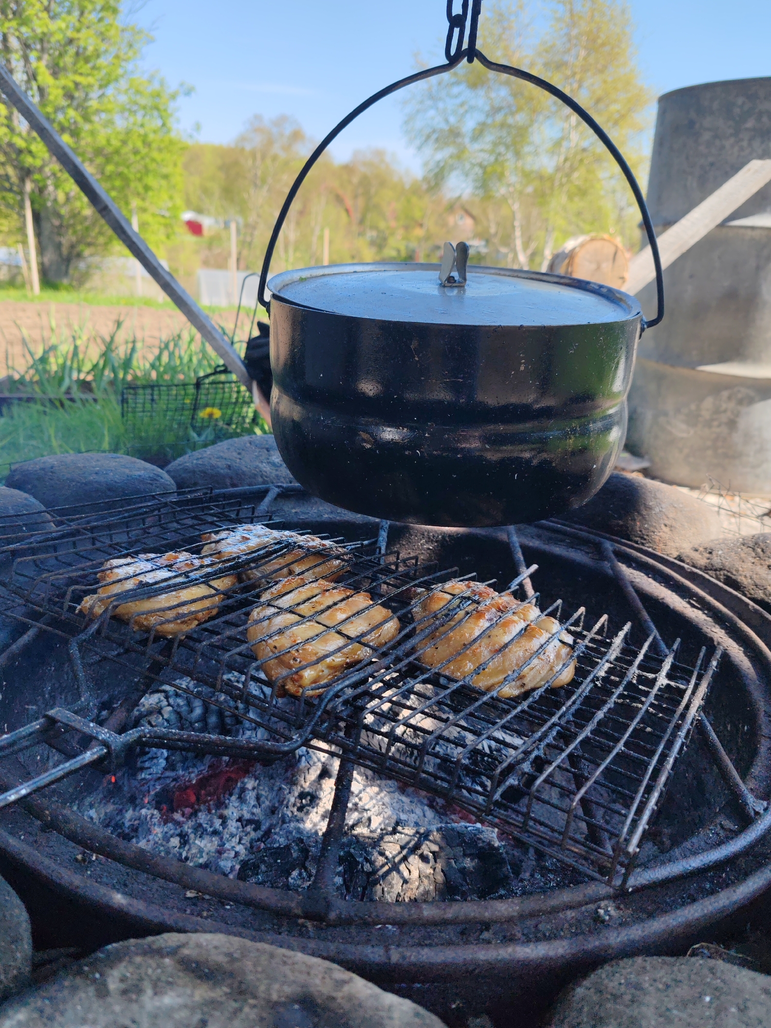 An outdoor scene depicts a black cast-iron cooking pot suspended by a metal hanger from a metal support structure, centered over a circular fire pit. Below the pot, a metal grill rack holds three pieces of light brown, partially cooked chicken over glowing red embers and grey ash. The fire pit perimeter consists of dark, rounded stones. To the left, a garden plot with young green shoots is visible, leading to an area of green grass and trees with light green foliage. A clear blue sky dominates the upper portion of the image. In the distant background, a red-roofed building and a large grey cylindrical object with a leaning wooden plank are discernible. The scene is illuminated by daylight. The location is Unknown, Unknown.