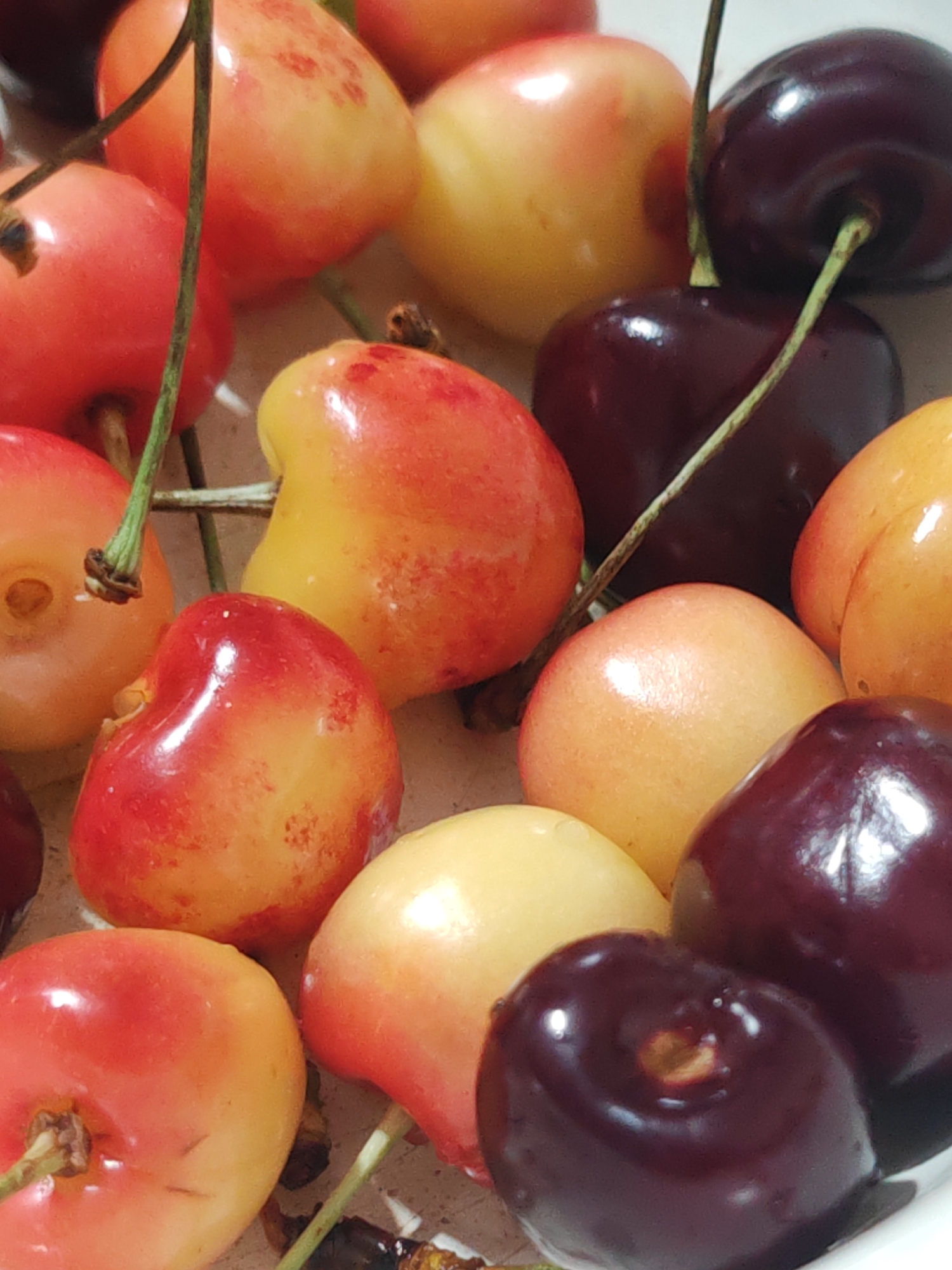 A close-up, overhead shot shows a collection of Rainier cherries and dark red cherries. The cherries are arranged in a chaotic pile, with some still attached to their stems. The lighting is soft and natural, highlighting the smooth, glossy skins of the fruit. The background is blurred, suggesting the cherries are in a bowl or on a flat surface. The image is in focus and the colors are vibrant.