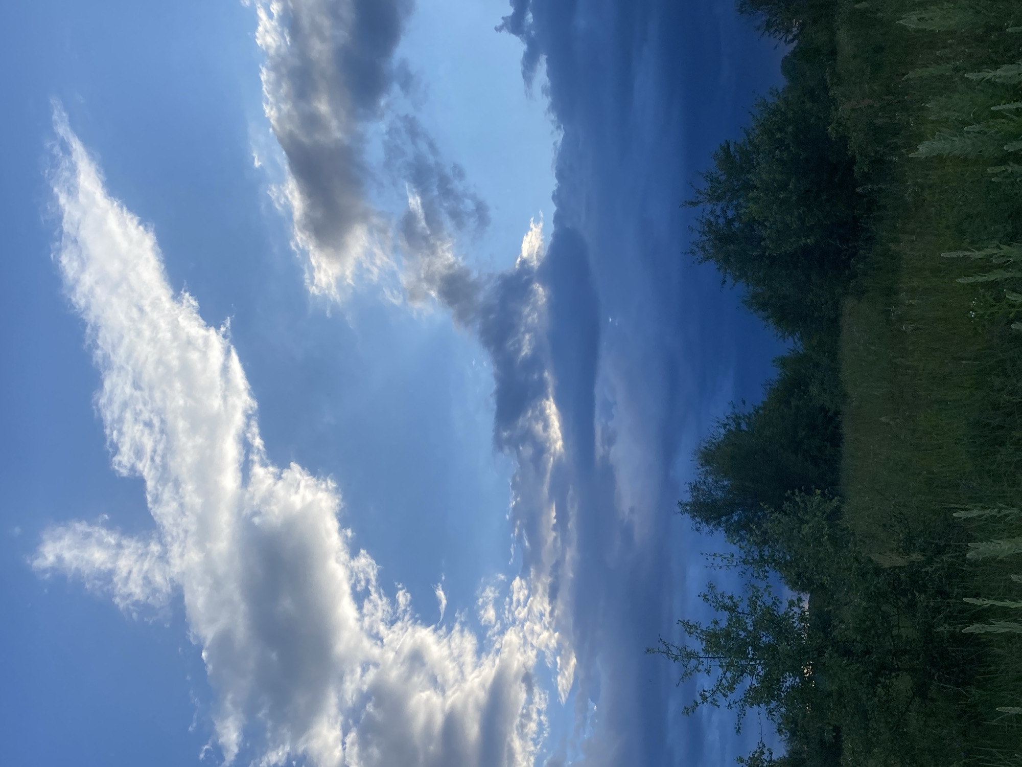 The image depicts a rural landscape with a prominent sky and a field with trees. The sky is filled with a mix of white and dark gray clouds against a blue backdrop, with some areas illuminated by sunlight suggesting either sunrise or sunset. Below the sky, a dense line of trees forms a dark silhouette across the horizon. In the foreground, a field of tall grass and various green plants is visible. The overall scene is dark, with the bottom half of the image being significantly darker than the top, indicating low light conditions. The image does not contain any people or visible signs of human activity. The location is specified as Ustyvytsya, Ukraine.