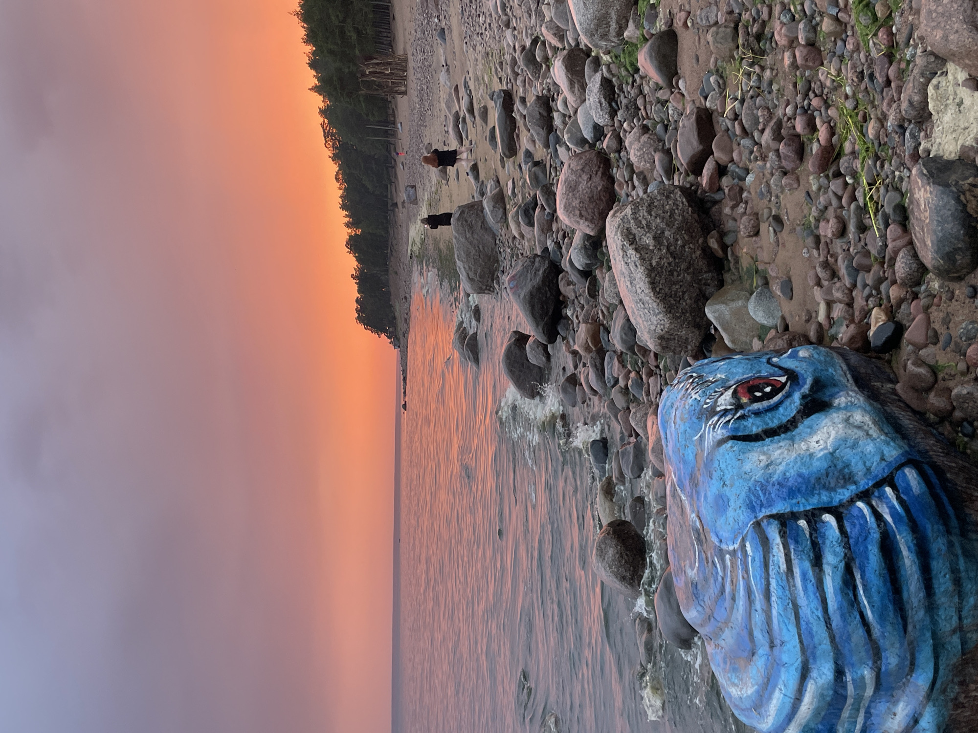 An outdoor, wide shot captures a stony beach at dusk in Luzhki, Russia. The sky is a gradient of purple and orange, with the lower portion of the sky displaying a vibrant orange sunset. The sea, a calm expanse of muted orange water, meets the shore where waves gently crash against a multitude of smooth, gray, and brown stones. In the foreground, a large rock is painted to resemble a blue fish head, with black and white stripes forming its scales and a red eye with a black pupil. Two dark-haired individuals, one in a black coat and the other in a dark jacket and pants, stand on the sandy beach in the middle ground, facing the sea. A dense line of dark green pine trees forms the backdrop, bordering the beach. Scattered among the trees are wooden structures. The overall impression is one of a serene and colorful natural landscape at the end of the day.