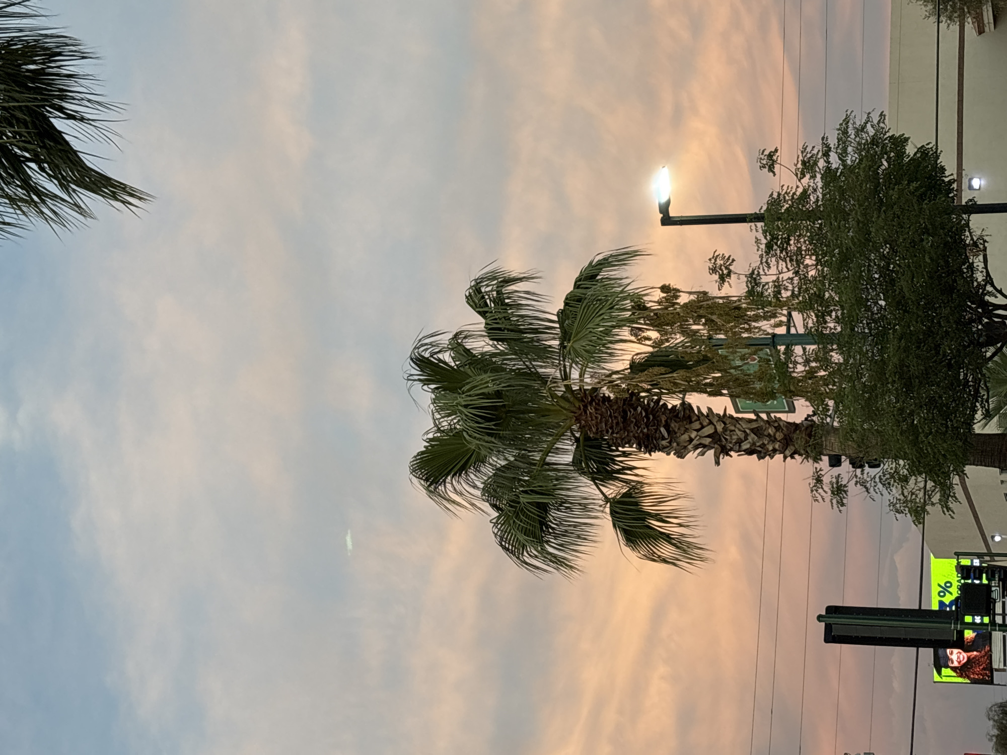 The image depicts a sunset scene in Phoenix, Arizona, with a prominent palm tree in the foreground. The sky is filled with wispy clouds painted in hues of pink, orange, and pale blue. To the right of the palm tree, a modern street lamp emits a bright white light. In the lower left portion of the image, a digital billboard displays an advertisement featuring a young woman in a graduation cap and gown, alongside a percentage sign. Electrical wires are visible crisscrossing the frame, indicating an urban setting. The overall atmosphere suggests a warm, possibly arid, environment typical of Phoenix.