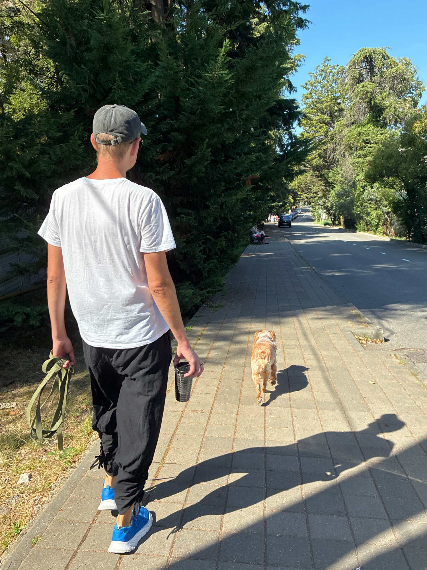 A person wearing a white t-shirt, black pants, a grey baseball cap, and blue sneakers is walking a light brown dog on a sidewalk. The person is holding a green leash and a dark-colored tumbler. The dog is walking ahead of the person on the sidewalk. The scene is in a city with trees lining the street and a road with cars in the distance. The sun is casting long shadows on the sidewalk. The location is identified as Sochi, Russia.
