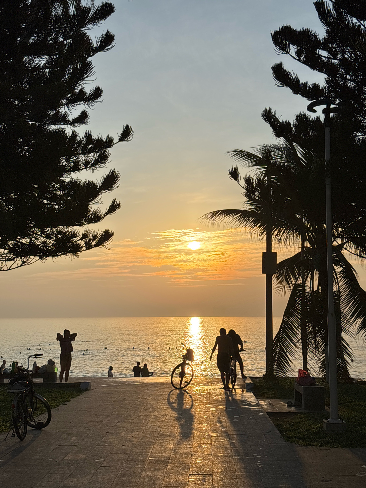 The image depicts a coastal scene in Nha Trang, Vietnam, during sunset. The sun, a bright orb, is low on the horizon, casting a golden glow across the sky and water, with its reflection shimmering on the ocean surface. Silhouetted figures, some on bicycles and others walking, are visible on a paved walkway adjacent to the beach. Several people are in the water, some swimming and others standing near the shore. Tall palm trees and pine trees frame the scene, with the dense foliage creating dark silhouettes against the bright sky. A lamppost stands on the right side of the frame, partially obscured by palm fronds. The overall atmosphere is serene and peaceful, characteristic of a beach sunset.