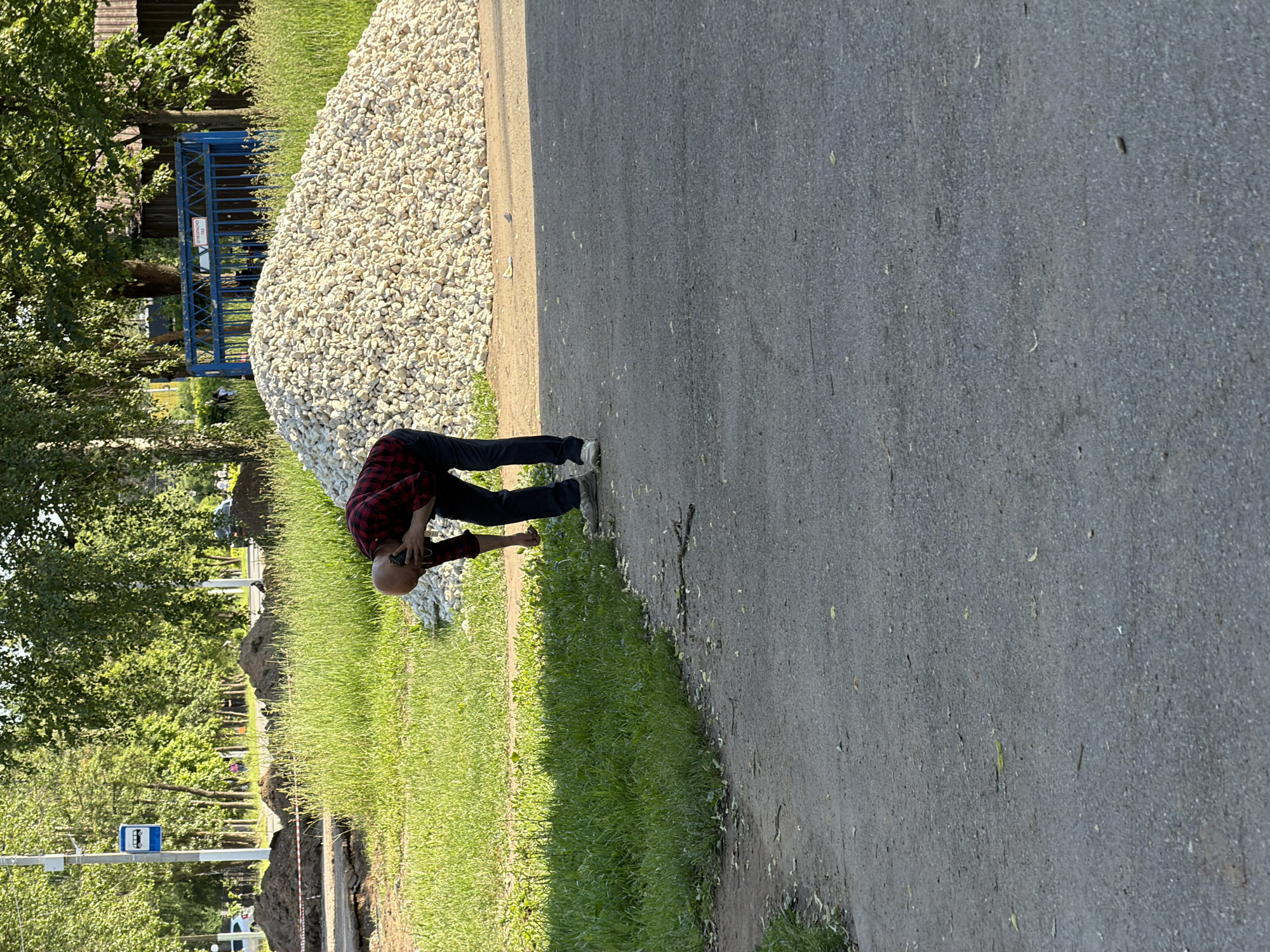 The image depicts an outdoor scene in the city of Chaikovsky, Russia, on a sunny day, characterized by ongoing urban construction or maintenance work. In the foreground, a bald man wearing a red and black plaid shirt, dark pants, and light-colored sneakers is captured in a bent-over posture. His left hand is extended towards the ground, while his right hand holds a mobile phone to his right ear, indicating he is simultaneously on a call and examining something on the asphalt.
To the man's right and extending into the mid-ground is a large, conical pile of light-colored crushed stone or gravel. Directly behind this pile, partially obscured by trees, a blue metal gate is visible. Attached to the top of this gate is a red and white sign bearing Cyrillic text, which reads "ОГНЕОПАСНО ГАЗ" (FIRE HAZARD GAS). To the left of the gravel pile and stretching across the middle distance are several mounds of dark, excavated earth, consistent with trenching or construction activity. Red and white striped barrier tape is discernible near these dirt piles.
The man stands on an asphalt pathway or road that occupies the lower portion of the frame. Lush green grass borders this pathway, particularly on the left side. In the background, numerous mature deciduous trees with dense green foliage are visible, indicating a vegetated area beyond the immediate construction zone. A blue bus stop sign, featuring a white bus icon, is clearly mounted on a pole on the far left side of the background, adjacent to the excavated areas. The scene is brightly lit by natural sunlight, casting discernible shadows.