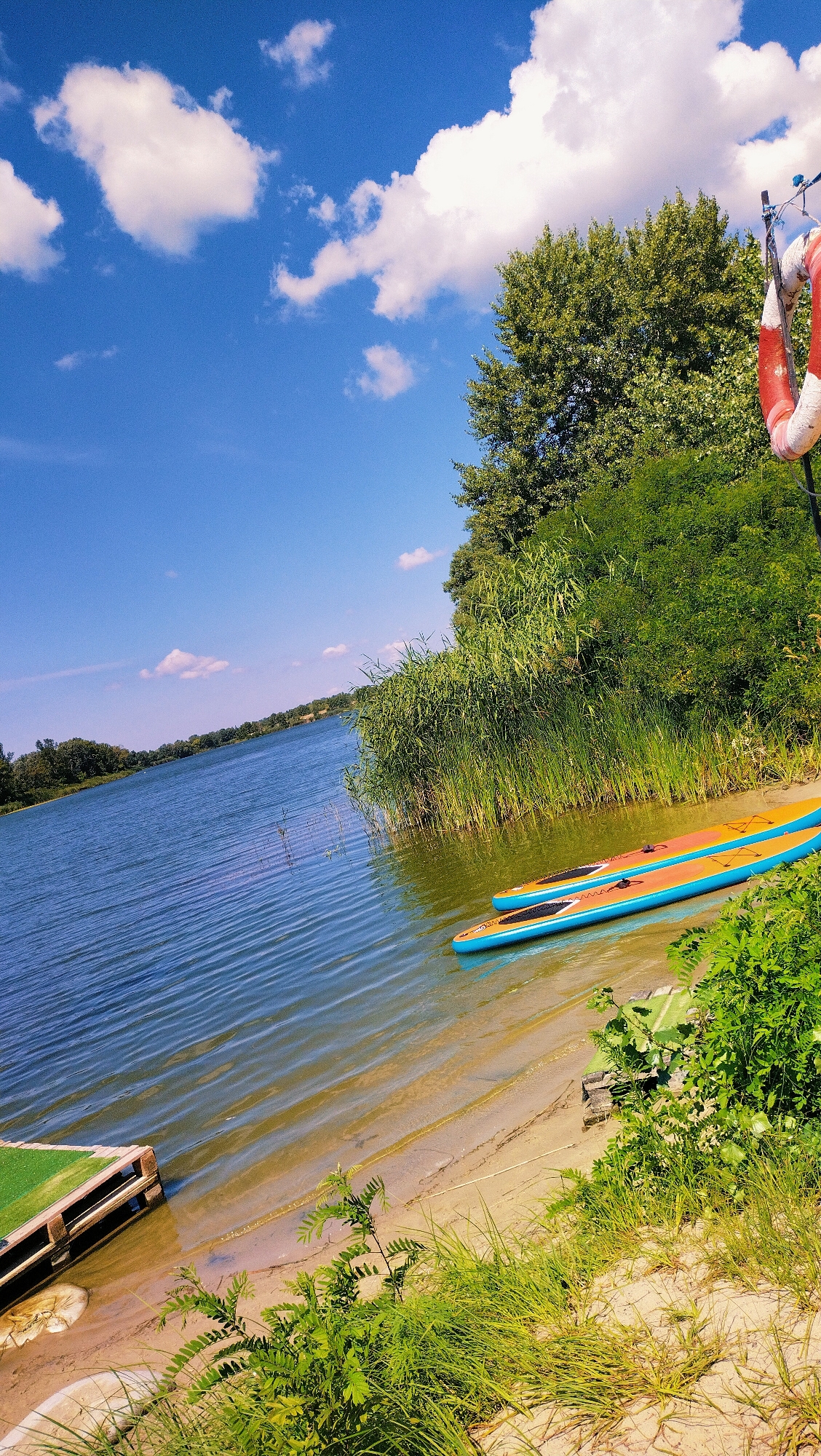The image depicts a serene lakeside scene under a bright blue sky dotted with fluffy white clouds. On the sandy shore, two stand-up paddleboards, one orange and one blue, are placed near the water's edge. Tall green reeds and lush trees line the bank, creating a natural backdrop. To the left, a wooden dock with a green surface is partially visible. A red and white life preserver hangs on a pole in the upper right corner. The water is calm, reflecting the sky and surrounding greenery. The overall impression is one of a tranquil summer day at a lake.