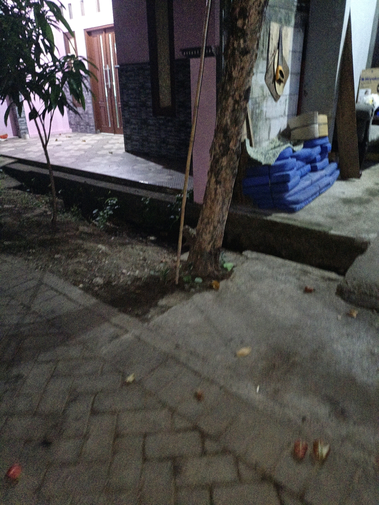 A tree trunk, with textured bark, is positioned in the foreground. To its left, a small tree with dark green leaves is visible. The background features a building with pink walls and a dark tiled section near the ground. A wooden door with vertical panels is centrally located on the building's facade. To the right of the tree, a stack of blue, foam-like mats is present, possibly construction material. A portion of a wooden board leans against the wall behind the mats. The ground is paved with interlocking stones in the foreground and transitions to a darker, possibly concrete, surface further back. There are scattered leaves and small debris on the ground. The scene appears to be an outdoor area, possibly a yard or walkway, in the city of Cikal, Indonesia, under low lighting conditions.