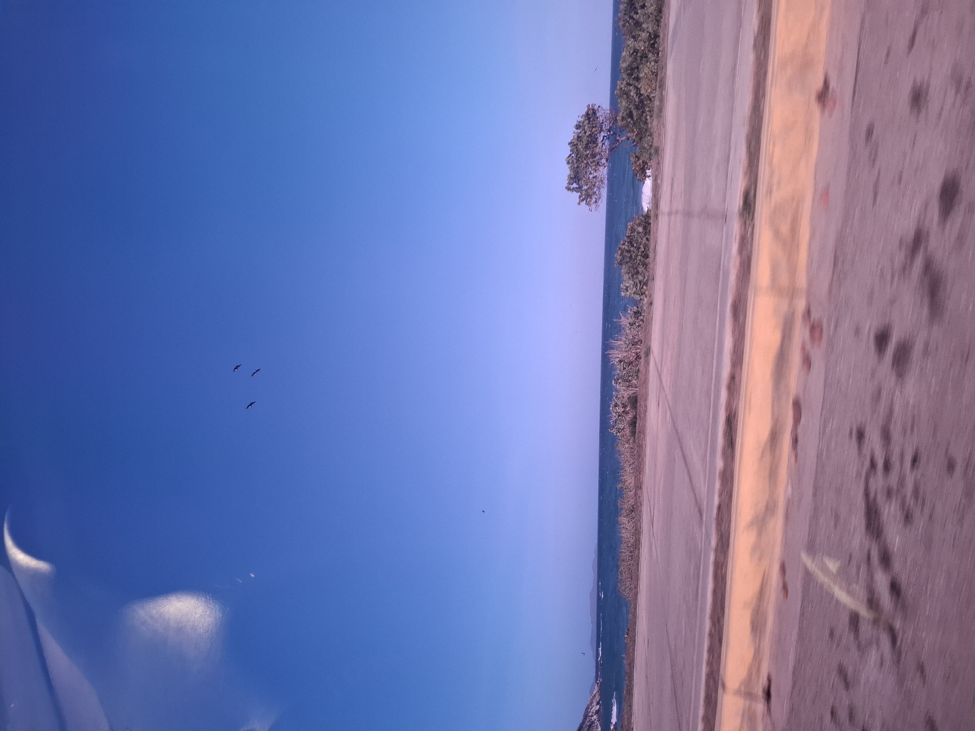This image, taken at Playa Parguito, Venezuela, captures a coastal scene dominated by a clear blue sky and the ocean, viewed from beside a road. The perspective appears to be from inside a vehicle or through a window, as evidenced by significant glare and reflections on the left side of the frame, showing bright, indistinct shapes against the blue.
The upper portion of the image is a vast expanse of bright blue sky, with a few small, dark bird silhouettes flying in the upper left quadrant. Towards the center, a horizontal line demarcates the distant horizon where the sky meets the serene blue waters of the ocean. Along the shoreline, between the ocean and the foreground, is a strip of land covered with green and brown scrubby vegetation, with a small, gnarled tree prominently featured towards the right of the coastline.
In the foreground and occupying the right side of the image, a paved surface, likely a road or pathway, extends horizontally. It is a light brown-grey color with a distinct yellow painted line running down its length, indicating a lane or edge. Scattered dark spots or textures are visible on this paved surface. The time of day appears to be daytime, with clear weather and ample light, but no harsh shadows, suggesting either morning or late afternoon. No discernible text is visible in the image.