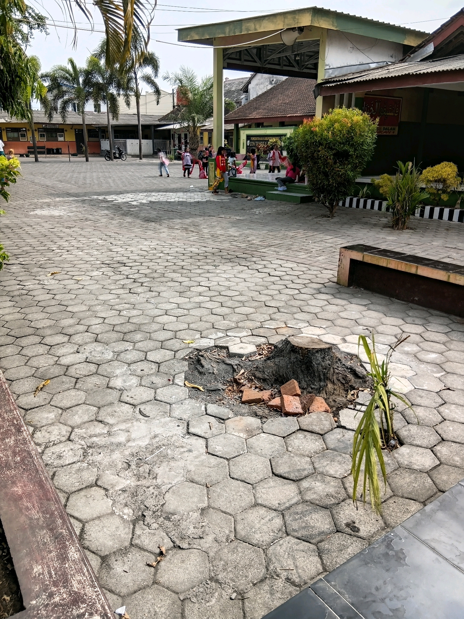 The image depicts an outdoor paved area in front of a school building, identified by signage as "SDN TANGGUL". The paving consists of hexagonal concrete tiles. In the foreground, a large tree stump is visible, surrounded by broken bricks and dry leaves. A young palm plant is growing near the stump. To the right of the stump, a concrete bench with a dark seating surface is present.
In the middle ground, several children are scattered across the paved area, some playing and others appearing to gather. The school building features a covered open-air structure, likely a stage or assembly area, with a green roof. Palm trees and other vegetation are present, contributing to the tropical environment. A motorcycle is parked near the building. The overall scene suggests a schoolyard in a warm climate.