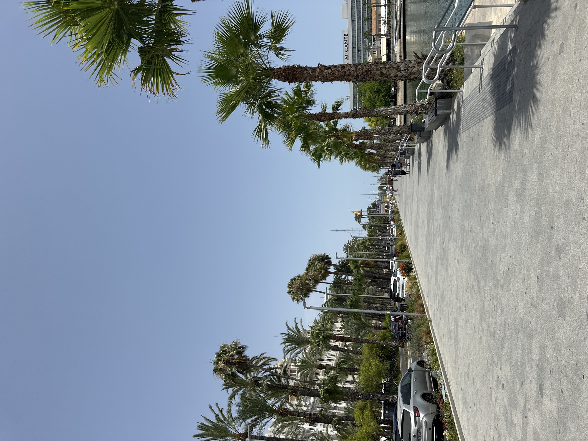 The image depicts a sunny day with clear blue skies, suggesting it's daytime. The scene is an outdoor promenade lined with numerous palm trees. A paved walkway runs along the right side of the image, casting long shadows from the palm trees and a railing. Benches are visible along the promenade, suggesting a place for relaxation or waiting.
In the background, a large building with the word "ALICANTE" in prominent letters is visible, indicating the location. There are cars parked along the street adjacent to the palm trees. People are seen walking along the promenade and near the parked cars, engaging in leisurely activities. The overall atmosphere appears calm and bright, characteristic of a pleasant day in a coastal city. The presence of the water and the promenade suggests a waterfront area, possibly a harbor or a beachside location.