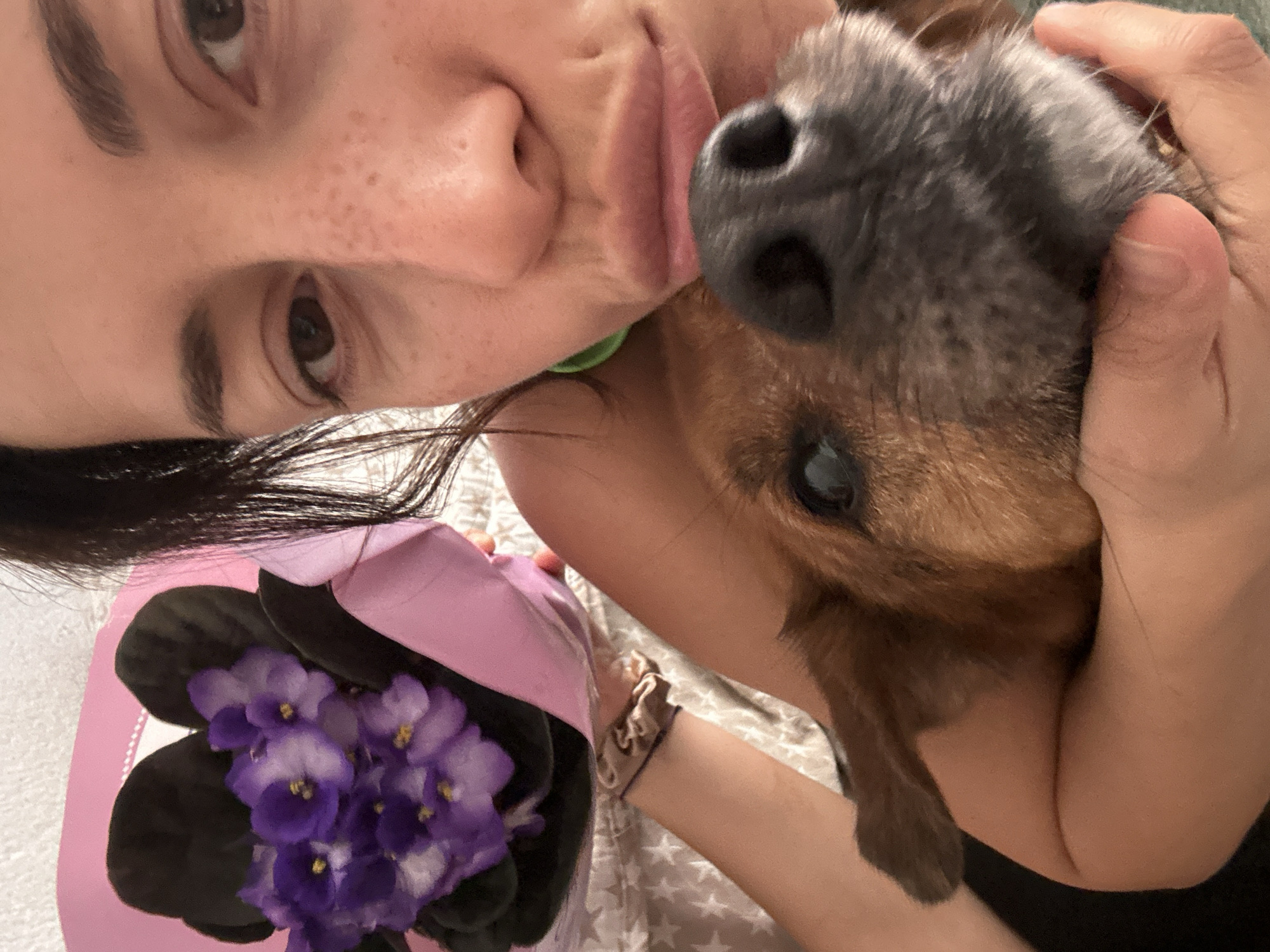 The image presents a close-up, intimate scene indoors, featuring a person and a small dog. The subject, a woman with dark hair and fair skin speckled with freckles on her cheek and forehead, is captured in a moment of affection with her pet. Her lips are gently puckered towards the dog's dark snout, suggesting a kiss or nuzzle, while her left eye looks towards the viewer. She is wearing a dark top, with a small green detail visible near her neck.
She cradles a small, brown-furred dog, whose dark nose is close to her face. The dog's left eye is visible, looking calmly downwards. Her right hand is visible, gently supporting the dog's head. On her left wrist, a light brown scrunchie is visible.
In the lower-left corner of the frame, the woman is holding a bouquet of vibrant purple flowers, specifically African violets with distinct yellow centers, wrapped in light pink paper or fabric. The background features a light-colored blanket or duvet with a subtle pattern of small, light-colored stars.
The overall emotion conveyed is one of warmth, tenderness, and a strong bond between the person and her pet. While the image is provided with the location context of Barcelona, Spain, there are no specific visual cues within the photo itself to indicate this location. There is no visible text in the image, and the indoor lighting does not clearly indicate a specific time of day.