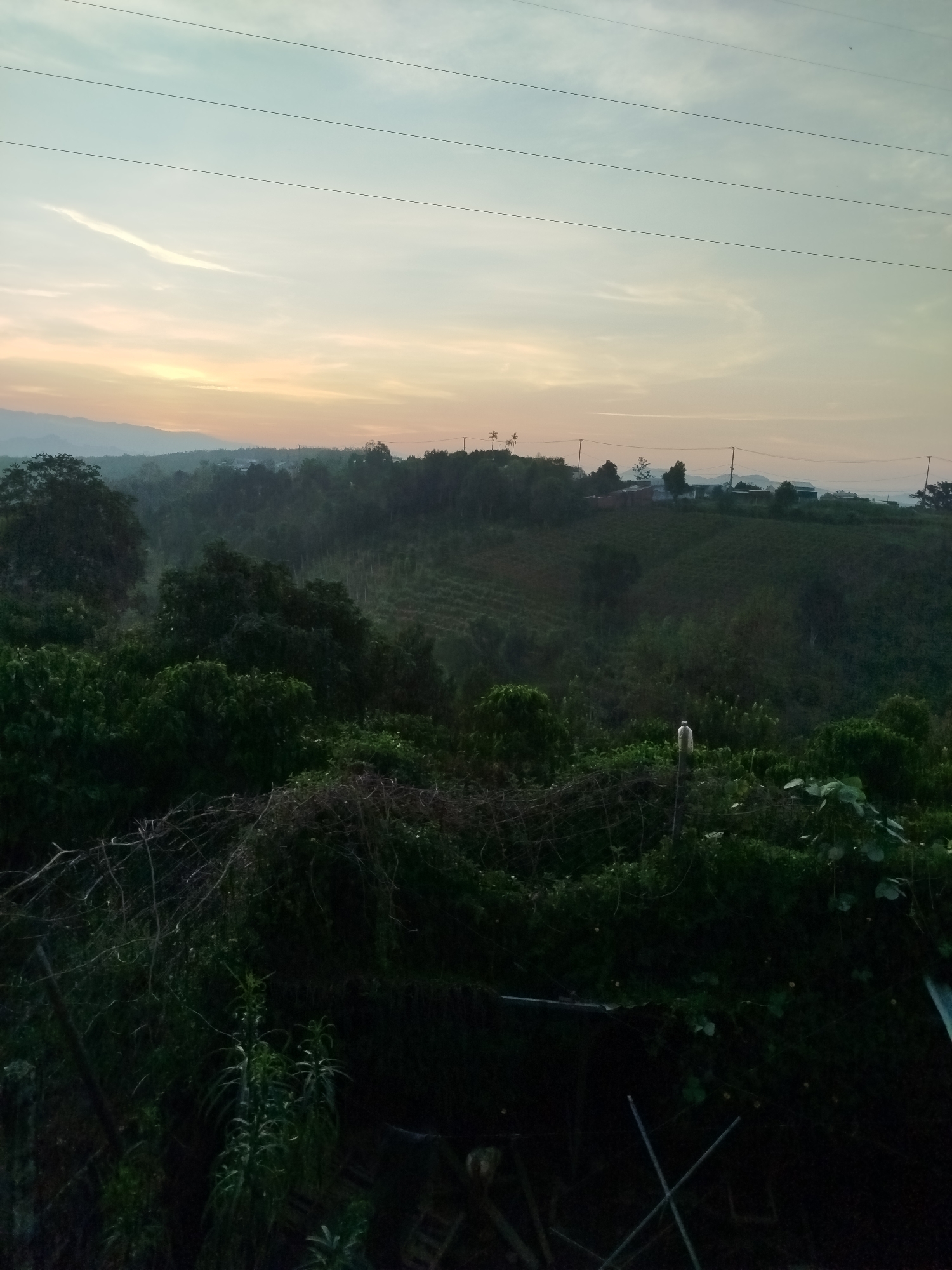 The image presents a landscape view at dusk, potentially captured from a high vantage point in Bờ Y, Vietnam. The sky is a blend of pale blue and yellow-orange hues, indicating a sunset. Three parallel power lines stretch across the upper portion of the frame.
In the midground, a dense, hilly area is covered with lush vegetation, predominantly trees. Some areas suggest agricultural cultivation with visible rows of plants. Further in the distance, residential structures can be identified, interspersed among the trees and on the horizon.
In the foreground, overgrown vegetation obscures the lower portion of the image, including leafy plants, tangled branches, and what appears to be partially obscured structural elements, possibly a fence or other man-made construction. A plastic bottle is visible in the middle ground.