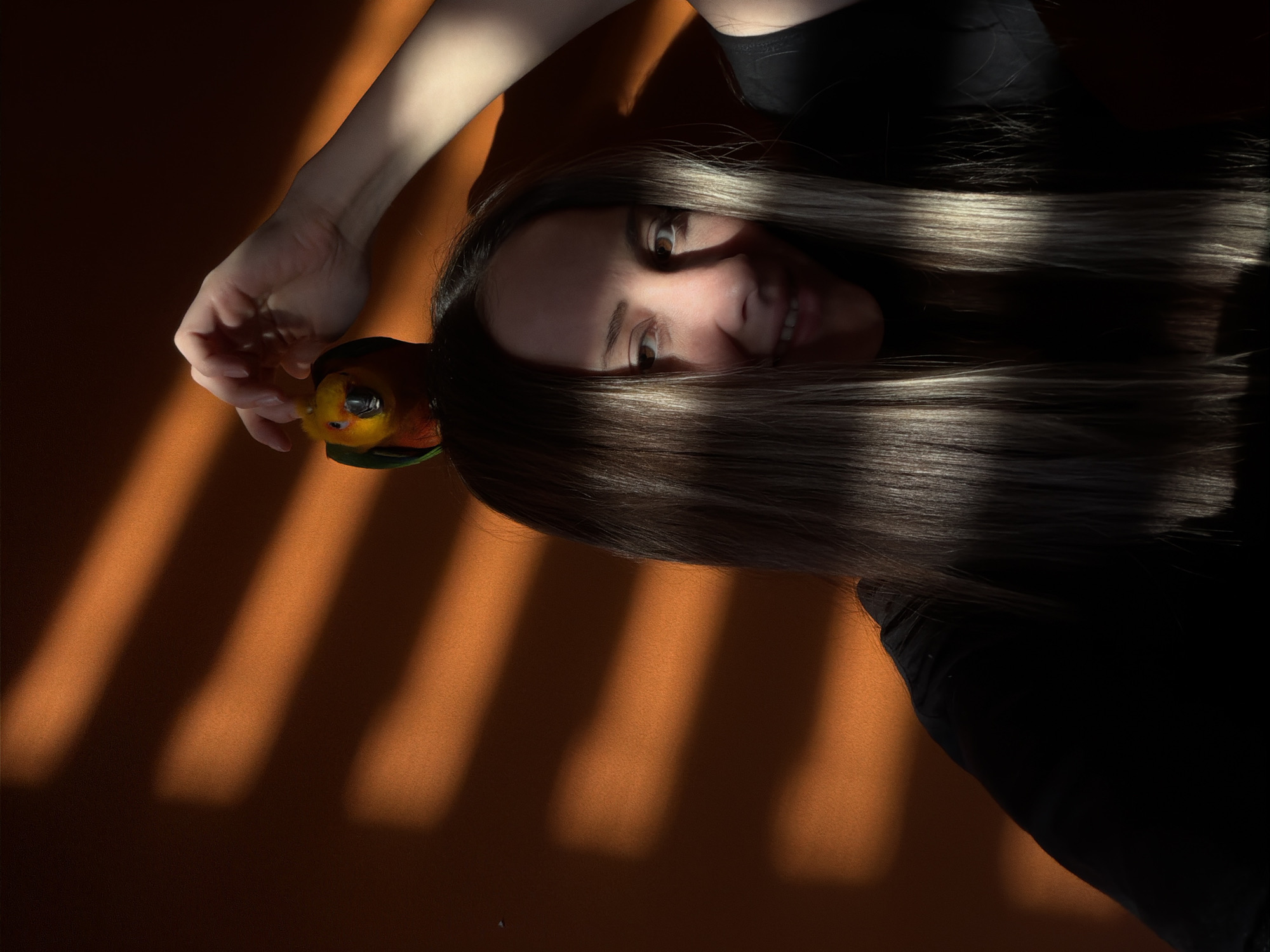 A female subject is depicted indoors against a plain orange wall in Khimki, Russia. Sunlight entering through a slatted obstruction, likely blinds, casts strong diagonal stripes of light and shadow across the background and the subject. The female has long, straight, dark brown hair with lighter highlights, which partially obscures her face. Her right eye and nose are visible, and she displays a subtle smile towards the viewer. She is wearing a dark, short-sleeved garment. A Sun Conure parrot, characterized by its yellow-orange head and green body, is perched on top of her head, facing forward with its beak slightly open. Her right arm is raised, with fingers positioned gently above the parrot's head, suggesting interaction.