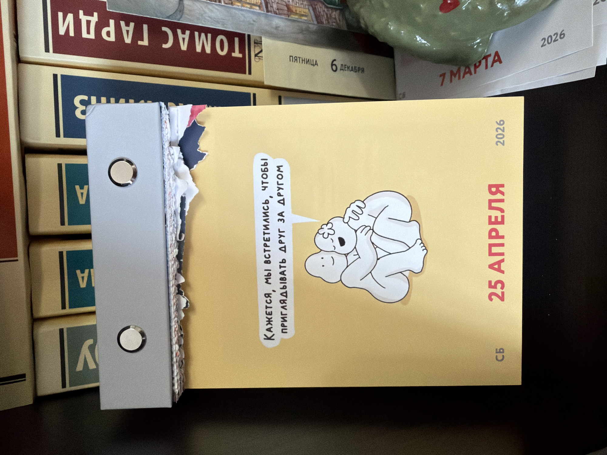 Here's a matter-of-fact description of the scene:
The image shows a tear-off calendar for April 25, 2026, with a cartoon illustration of two figures huddled together. A speech bubble contains text in Russian: "КАЖЕТСЯ, МЫ ВСТРЕТИЛИСЬ, ЧТОБЫ ПРИГЛЯДЫВАТЬ ДРУГ ЗА ДРУГОМ" (which translates to "It seems we met to look after each other"). The calendar is held in a grey binder with two metal buttons. The calendar is partially torn, with a section missing from the upper left.
Behind the calendar are several books, including one titled "ТОМАС ГАРДИ" (Thomas Hardy). A page from another calendar, dated March 7, 2026, is partially visible. Also a page "ПЯТНИЦА 6 ДЕКАБРЯ" (Friday December 6).
The image shows a common tear-off calendar with a motivational message. There is no information in the image to indicate its location in the city of Chaikovsky, Russia.