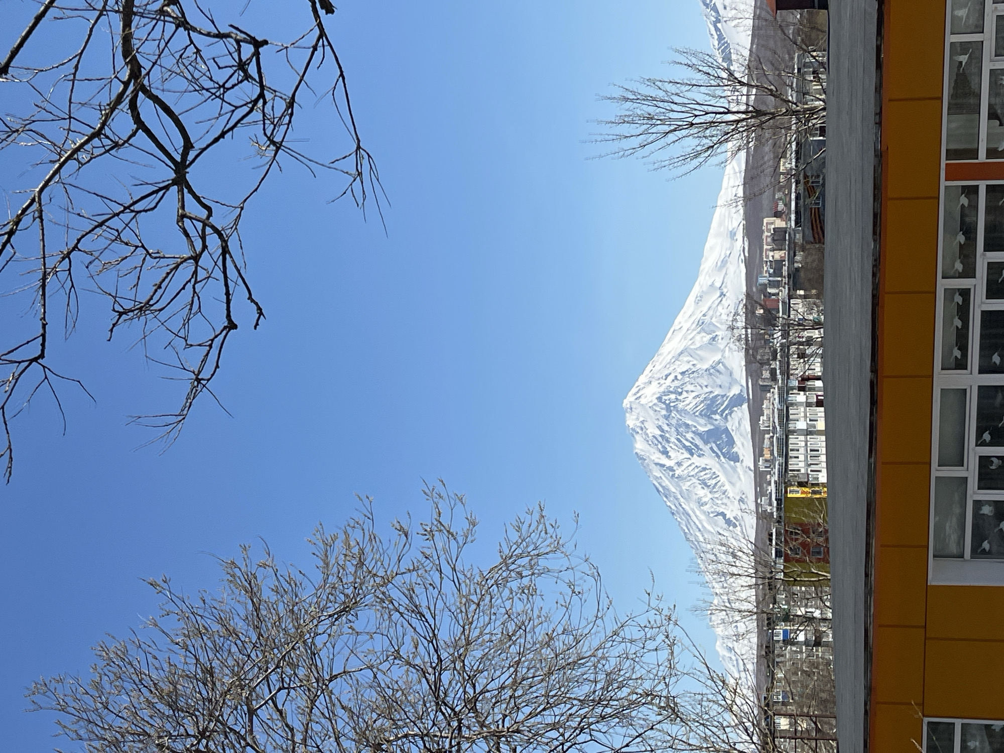 The image presents a clear blue sky above a partially snow-covered mountain. Bare tree branches are visible in the foreground. In the background, one sees an urban landscape with buildings, some with visible windows. A tall, yellow building with white-framed windows is situated on the right side of the image.
Based on the landscape and the mountain's shape, the scene is likely located in the city of Petropavlovsk-Kamchatsky, Russia, with the mountain potentially being one of the local volcanic peaks.
