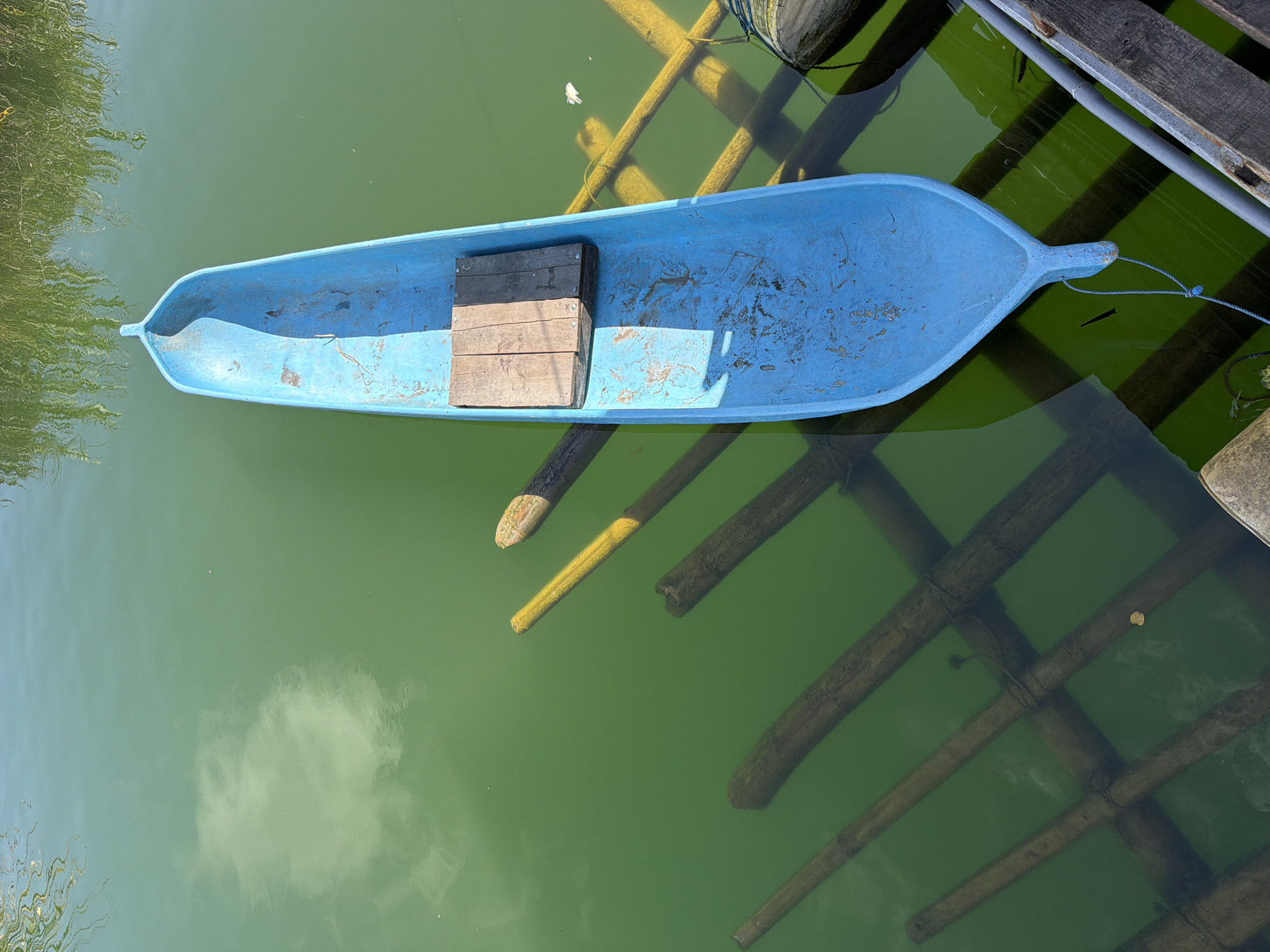 A bright blue canoe, with a wooden plank seat, floats on calm, greenish water. It is moored to a structure of bamboo poles. The water reflects a cloudy sky and the silhouettes of reeds. The scene appears to be located in Kintamani, Indonesia, a region known for its volcanic landscapes and Lake Batur.