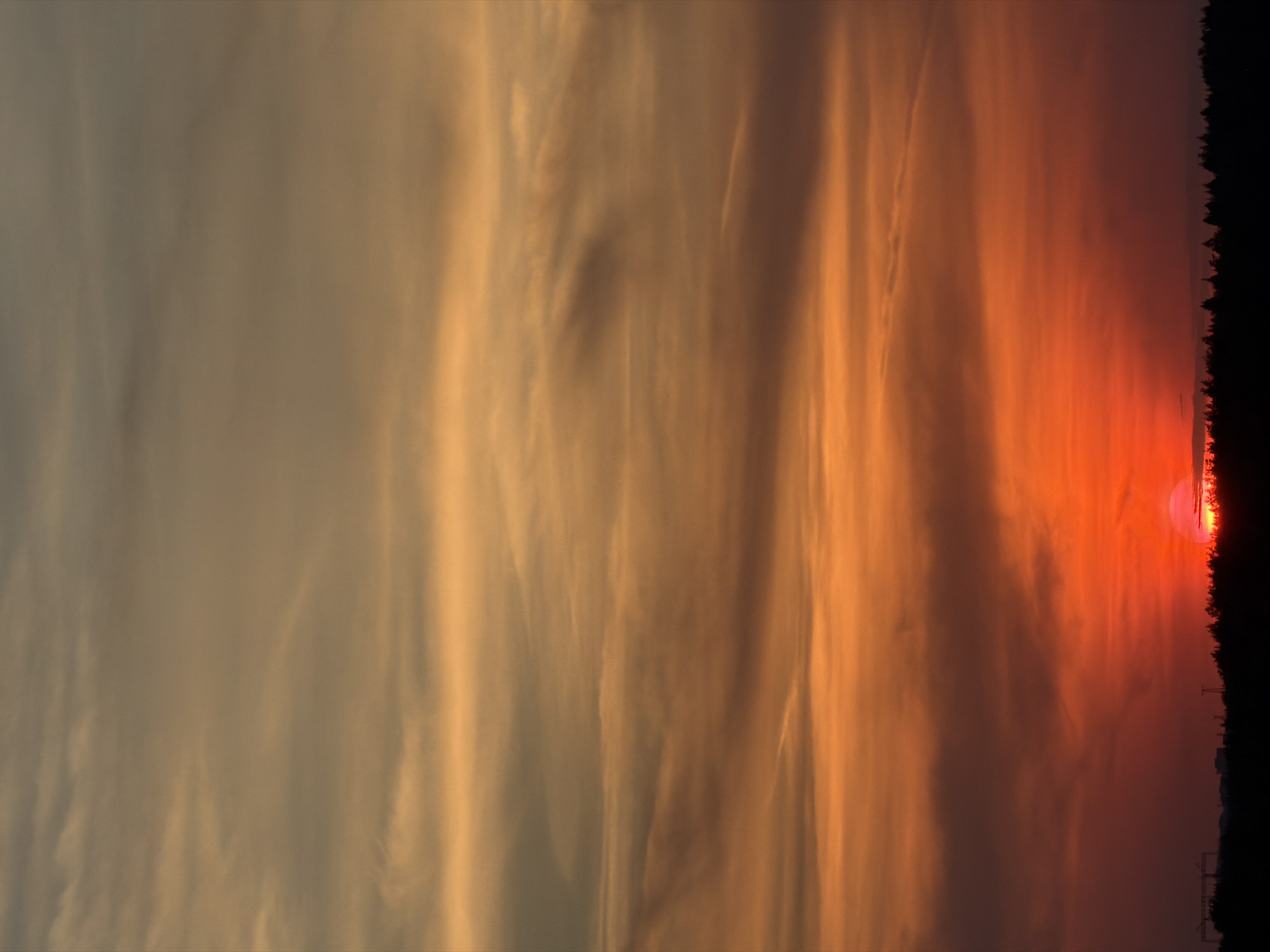 The image depicts a sunset over a horizon with silhouetted trees. The sky displays a color gradient, shifting from orange near the horizon to a lighter, more diffused color higher in the frame. A bright, round sun is visible near the right edge of the image, partially obscured by the trees. The location is Unknown, Unknown.