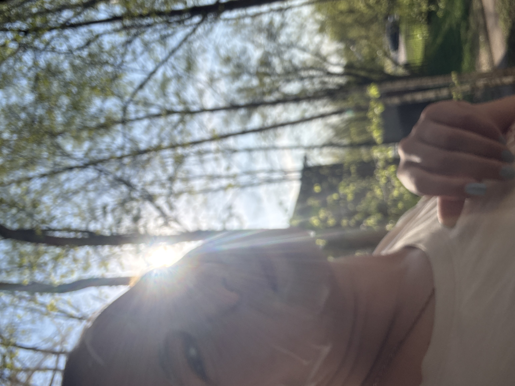 The image shows a person taking a selfie outside. The background includes trees with bare branches, suggesting it may be early spring or late fall. There is a building visible in the background on the right side of the frame. The sun is shining brightly, causing glare and making it difficult to see the person's face clearly. There is no clear evidence to conclude that the photo was taken in Dmitrov, Russia.