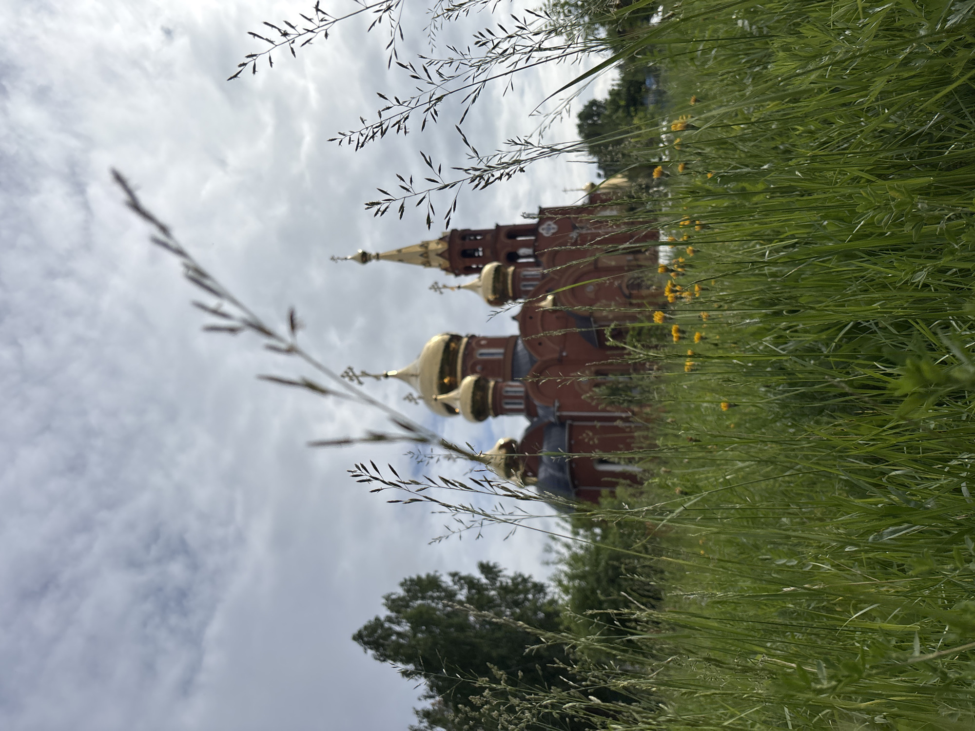 The image displays a prominent red-brick Orthodox church featuring multiple golden onion domes and spires, set against a cloudy sky. The church is positioned diagonally across the midground, partially viewed through a dense foreground of tall green grass and weeds. Some blades of grass, particularly in the upper and lower left, are in sharp focus, creating a shallow depth of field, while others appear blurred. Small yellow flowers are scattered within the grass on the right side of the frame. The sky is overcast with soft grey and white clouds, indicating a daytime scene. A dark green tree is visible in the lower left background, behind the foliage. The photograph is taken from a low angle, looking upwards through the grass towards the architectural landmark. The architectural style strongly suggests a Russian setting, consistent with the provided location context of Chaikovsky, Russia. No people or visible text are present in the tranquil scene. The image is presented in a vertical orientation, causing the church and grass to appear tilted.