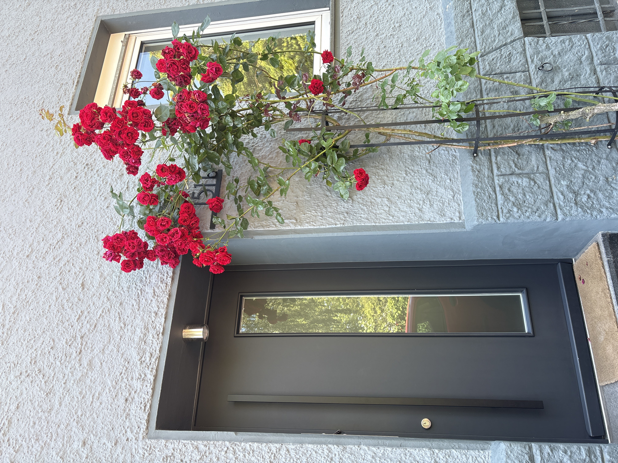 This is an outdoor, eye-level, medium shot of a front door and a flowering rose bush. The door is dark gray with a long, thin handle and a vertical glass pane. Above the door is a cylindrical light fixture. To the right of the door is a window. The rose bush, with bright red blooms, is growing on a metal trellis. The house has a light gray, textured facade with some stonework near the bottom. The address "1516" is visible on the wall next to the roses. The image was taken in Mönchengladbach, Germany.