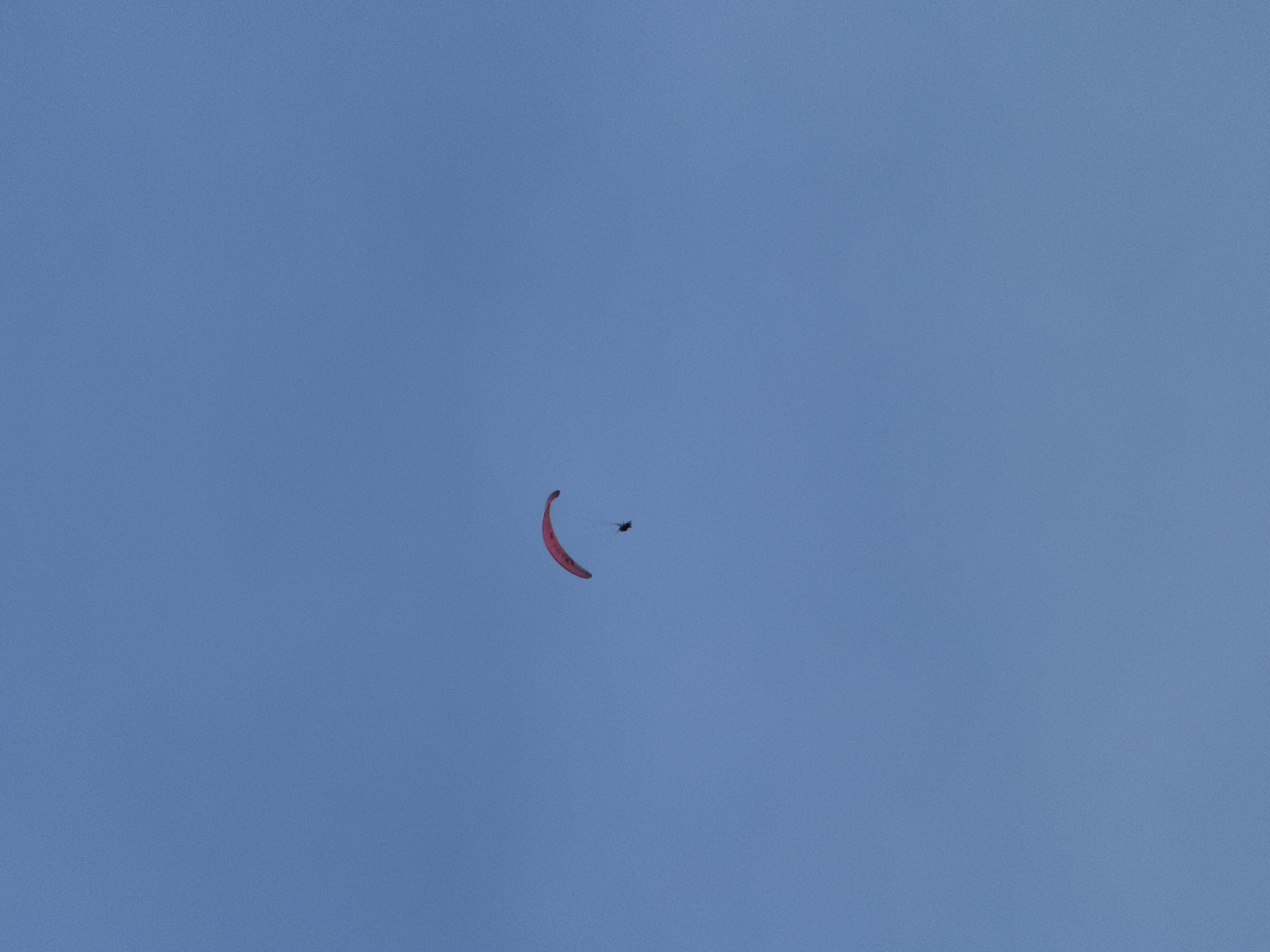 A single paraglider, wearing dark clothing, is suspended beneath a red paraglider wing against a clear blue sky. The paraglider is positioned in the upper right quadrant of the image. The scene is devoid of any discernible city landmarks or features, indicating an outdoor activity in an open space, potentially over a natural landscape rather than an urban environment. The specific location in Boreti, Montenegro, is not visually identifiable from the provided image.
