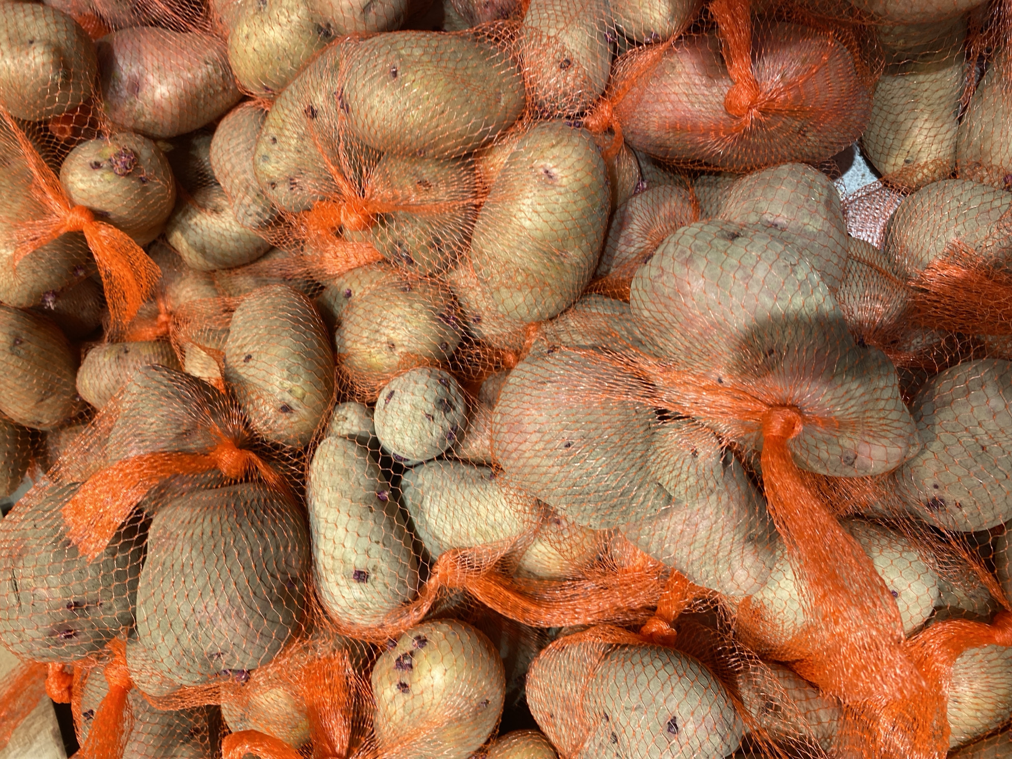 The image shows a close-up, overhead view of a large pile of potatoes, predominantly light brown and some reddish-brown, enclosed in orange mesh netting. The potatoes are of various sizes and shapes, with some showing visible "eyes" or sprouts. The lighting suggests an indoor environment, likely a market or a storage area. The scene is devoid of any people or specific identifiable landmarks. There is no indication of the city of Banda Aceh, Indonesia, or any other specific geographic location.