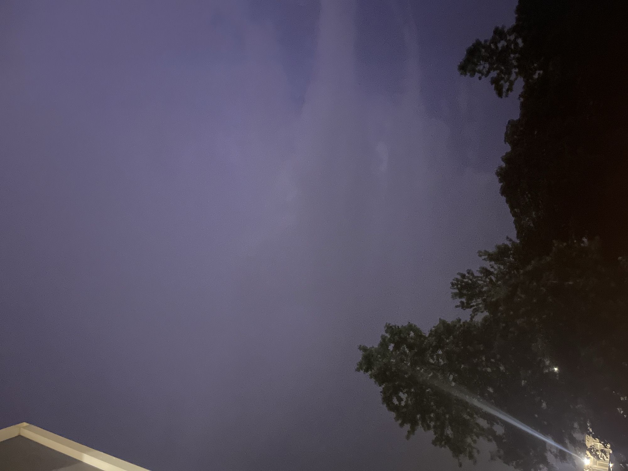 The image is a low-angle shot taken at night, looking upwards at a dusky, purple sky with sparse clouds. In the foreground, silhouetted against the sky, are the tops of several trees. A bright beam of light, likely from a spotlight or projector, cuts across the left side of the image, illuminating a portion of the foliage of a large tree. In the bottom left corner, a small section of a building or structure with a light-colored edge is visible. The scene appears to be outdoors in an urban or suburban environment, potentially a park or residential area. No people are visible. The location is specified as Plovdiv, Bulgaria.