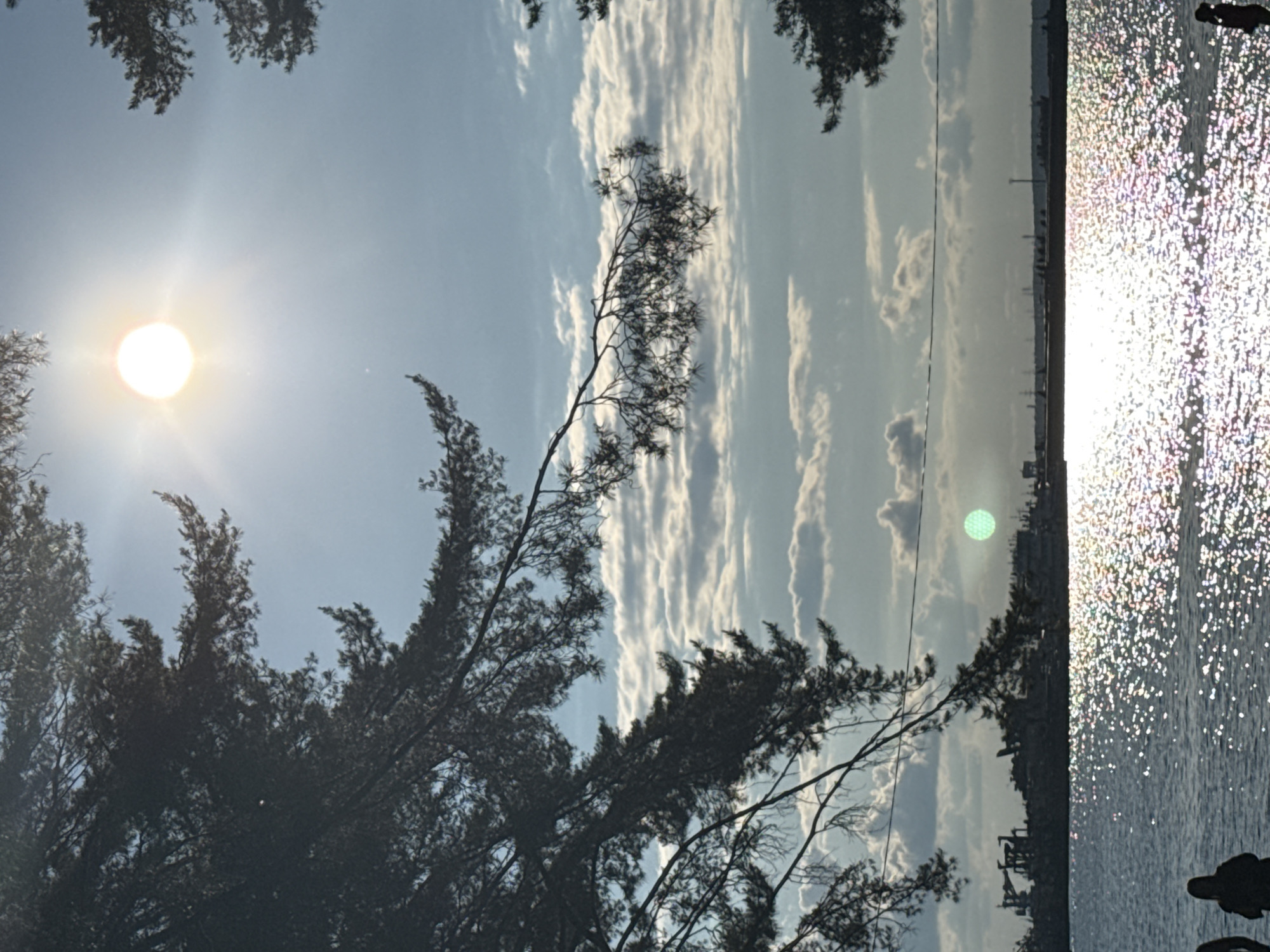 The image captures a bright, sunny outdoor scene, likely around midday, featuring a large body of water, silhouetted trees, and a distant horizon. A clear blue sky, dotted with scattered white, wispy clouds, fills the upper and central left portions of the frame. A brilliant, radiant sun is prominently positioned in the upper-left, emitting strong light and creating a noticeable lens flare.
Dark silhouettes of coniferous trees or dense shrubs frame the foreground along the left and bottom edges, their branches reaching upwards against the bright sky. To the right, a vast expanse of water, likely a lake or wide river, is intensely illuminated by the sun, creating a dazzling, sparkling surface with numerous bright, multicolored glints.
A faint, dark silhouette of a distant shoreline or industrial structures (possibly cranes or buildings) stretches horizontally across the horizon line. A dark, indistinct silhouette of a person or figure is visible at the very bottom right corner, positioned near the water. A thin, dark line, possibly a utility wire, traverses the sky horizontally near the horizon. Additionally, a distinct circular green lens flare appears just above the distant horizon on the right side.
The scene suggests a warm, clear day ideal for being outdoors by the water. Given the location context of Chaikovsky, Russia, the water body is likely the Votkinsk Reservoir on the Kama River. There is no visible text in the image.