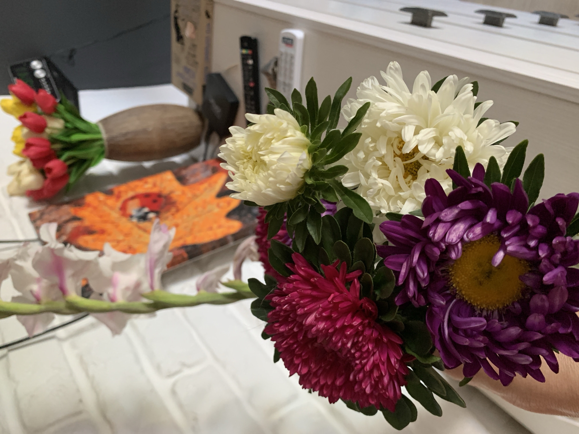 In the foreground of the image, a bouquet of asters is held by a person's hand. The asters are in various shades of pink, purple, and white, with many delicate petals. Behind the asters, a tall gladiolus stem with pale pink and white flowers is visible, with its green stem and leaves.
In the midground, to the left, is a framed picture with a bright orange background, featuring a ladybug. To the right, a brown vase holds a bunch of artificial tulips in red, yellow, and cream colors.
The background consists of a white brick wall on the left and a white dresser or cabinet on the right. On top of the dresser, several objects are present, including a black remote control, a small black electronic device, and possibly a book or magazine. The overall setting appears to be an indoor environment, possibly a home. The location is specified as Kapyĺ, Belarus.