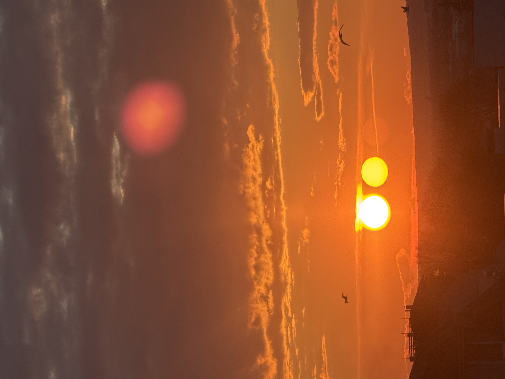The image depicts a fiery sunset scene in Varna, Bulgaria. The sky is awash in shades of orange and red, with streaks of clouds catching the light. Two bright orange orbs, likely the sun and a reflection, dominate the central-right of the frame, while another soft, red orb appears on the left side. The silhouette of birds can be seen flying in the sky. Silhouettes of buildings are visible in the bottom right corner.