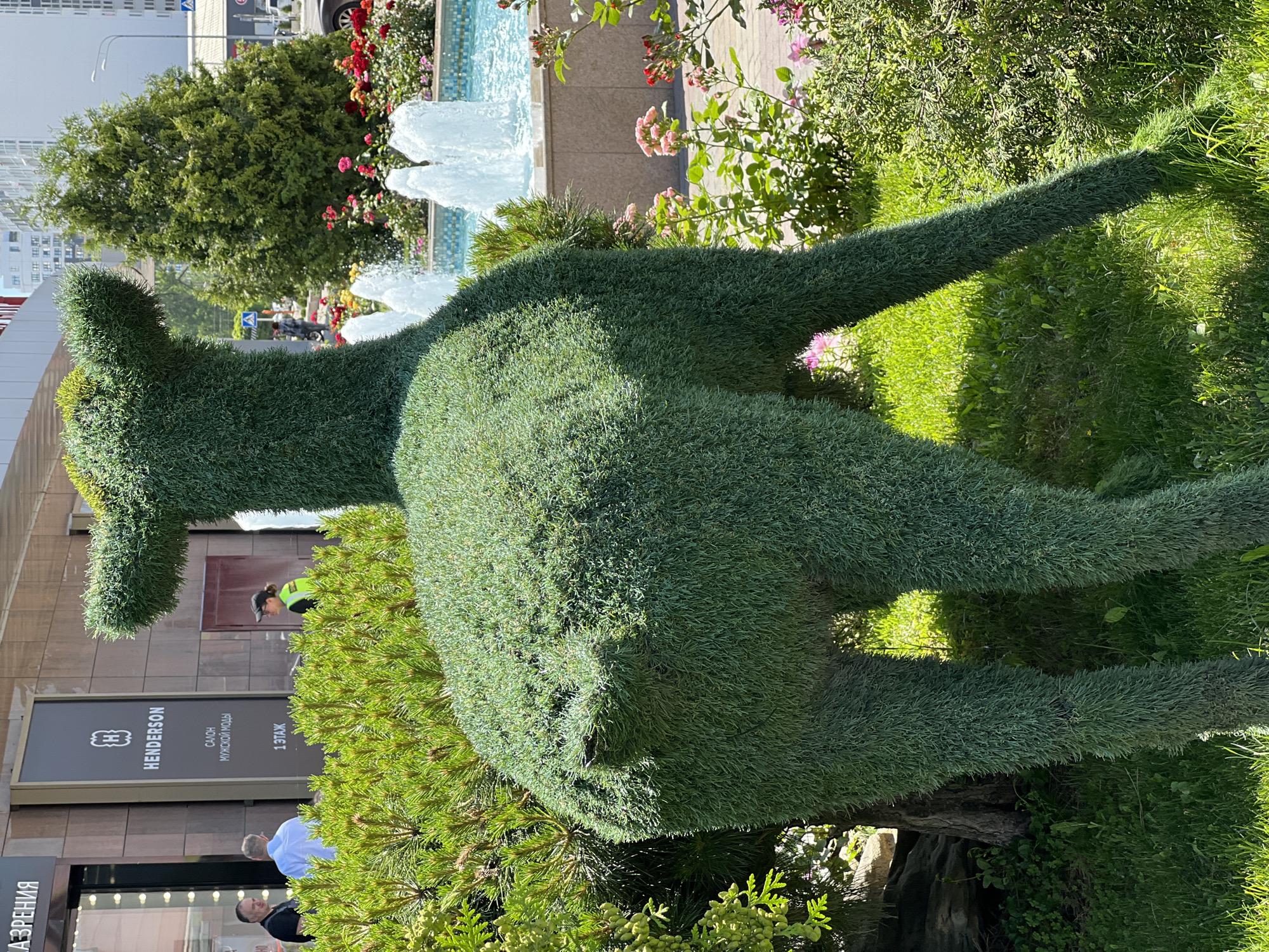 The image, captured in bright daylight, features a large green topiary sculpture of a quadruped animal, possibly a kangaroo, dominating the foreground. The animal's head points towards the bottom-left of the frame, and its body extends upwards and right, with its long tail stretching towards the top-right corner. The sculpture is meticulously crafted from dense green foliage.
Behind the topiary, a vibrant urban landscape unfolds. A multi-tiered fountain with actively spraying water creates a refreshing visual element, surrounded by an assortment of green trees and bushes. Flower beds bursting with colorful blooms, including shades of red, pink, and yellow, add splashes of color to the scene.
In the mid-ground, a modern building complex is visible. A prominent black sign on one building clearly displays "HENDERSON" in English, followed by "САЛОН МУЖСКОЙ МОДЫ" (Men's Fashion Salon) and "1 ЭТАЖ" (1st Floor) in Russian. This indicates a commercial area. Several people are present in the background; one individual in a high-visibility yellow or green vest is noticeable near the building, while others are blurred, suggesting casual movement.
The strong sunlight casts distinct shadows, indicating a clear, bright day, likely mid-morning or early afternoon. The overall setting depicts a well-maintained public space or plaza in Krasnodar, Russia, combining natural beauty with urban architecture, conveying a peaceful and inviting atmosphere.