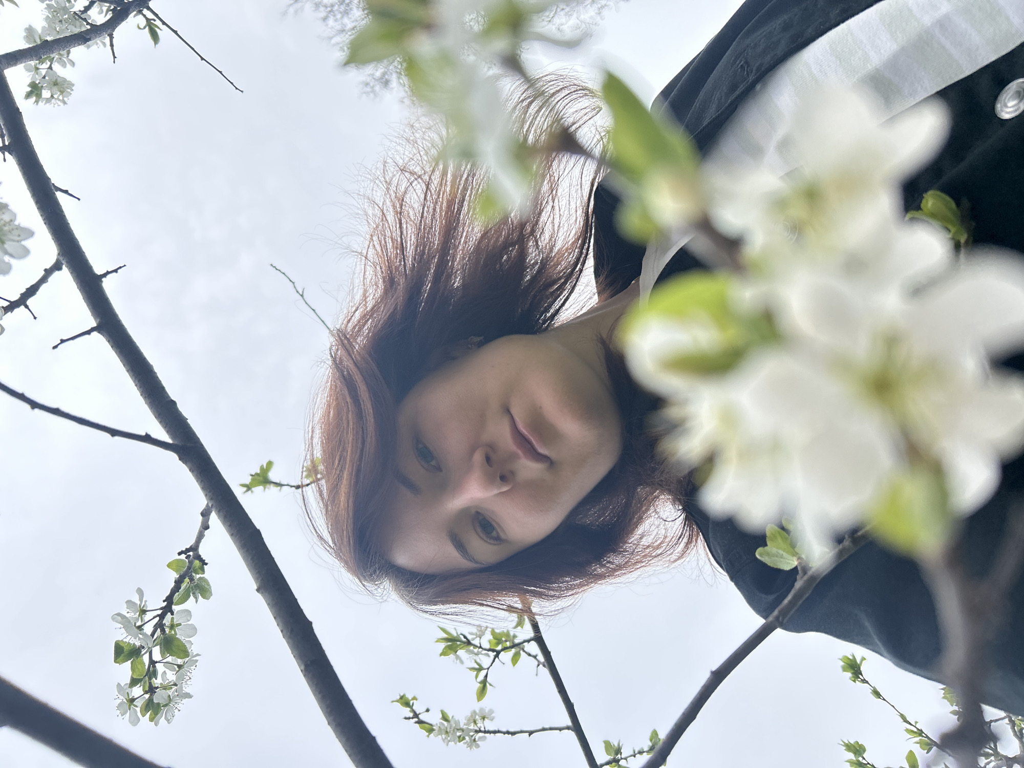 A woman with brown hair, wearing a dark jacket with a white stripe, looks down at the camera from a low-angle perspective. Her face is visible between branches of a flowering tree with white blossoms. The sky is overcast. The location is unknown and cannot be determined as the city of Noviy, Russia.