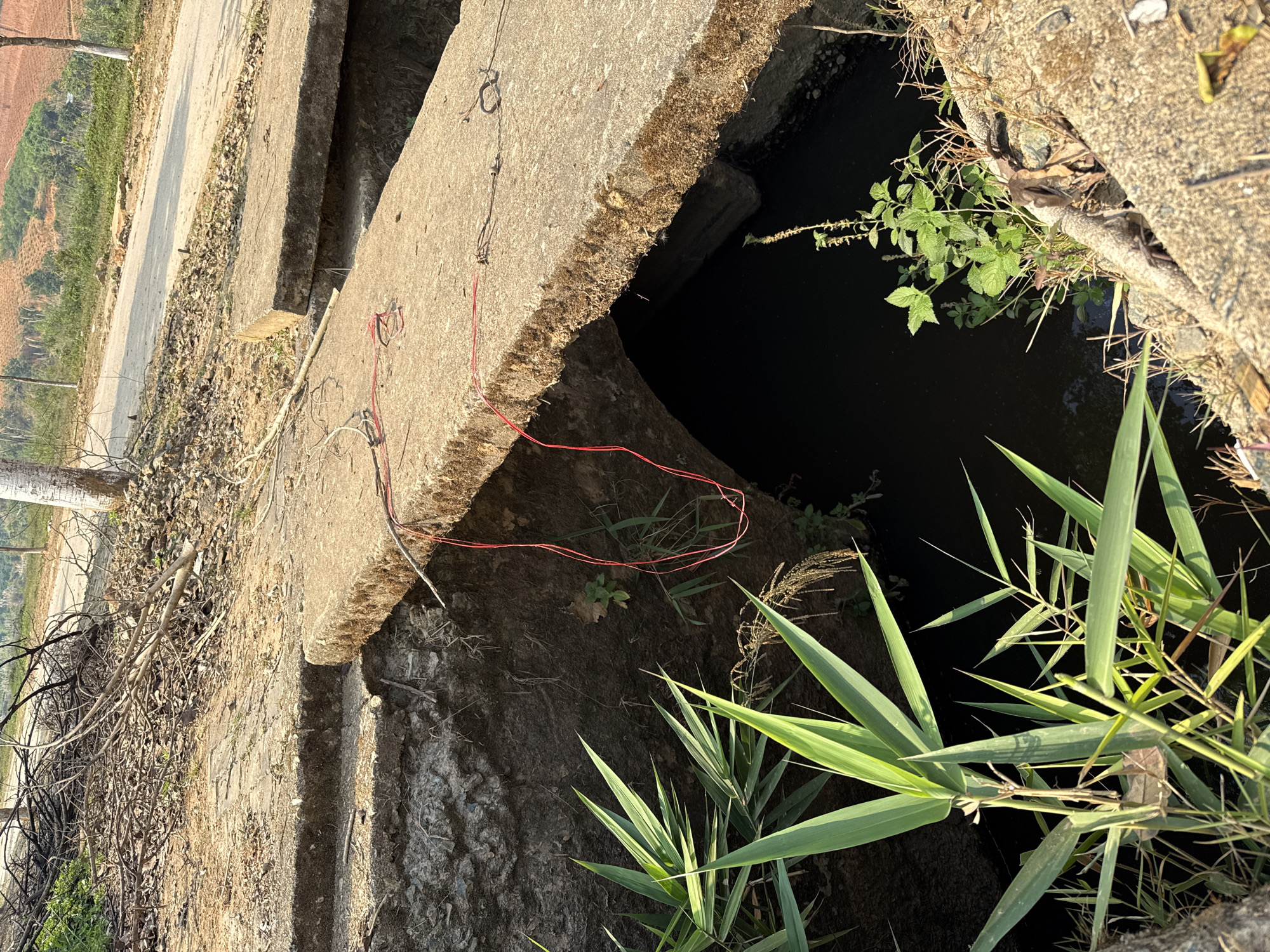 The scene is a close-up, outdoor shot of a concrete structure bordering a body of dark water. The concrete structure appears to be a bridge or a retaining wall over a drainage ditch. The concrete is weathered, with visible rough edges and discoloration. A thin, red wire lies across the concrete surface.
To the right of the concrete edge, there is dense vegetation, including what appears to be bamboo. The water below is dark, possibly stagnant. A few small green plants grow near the water's edge.
To the left, the scene transitions to a roadside area with dry leaves, twigs, and bare branches. In the distance, there is an open area with vegetation and some cultivated land.
Given the user's prompt, the location is identified as Bo Y, Vietnam.