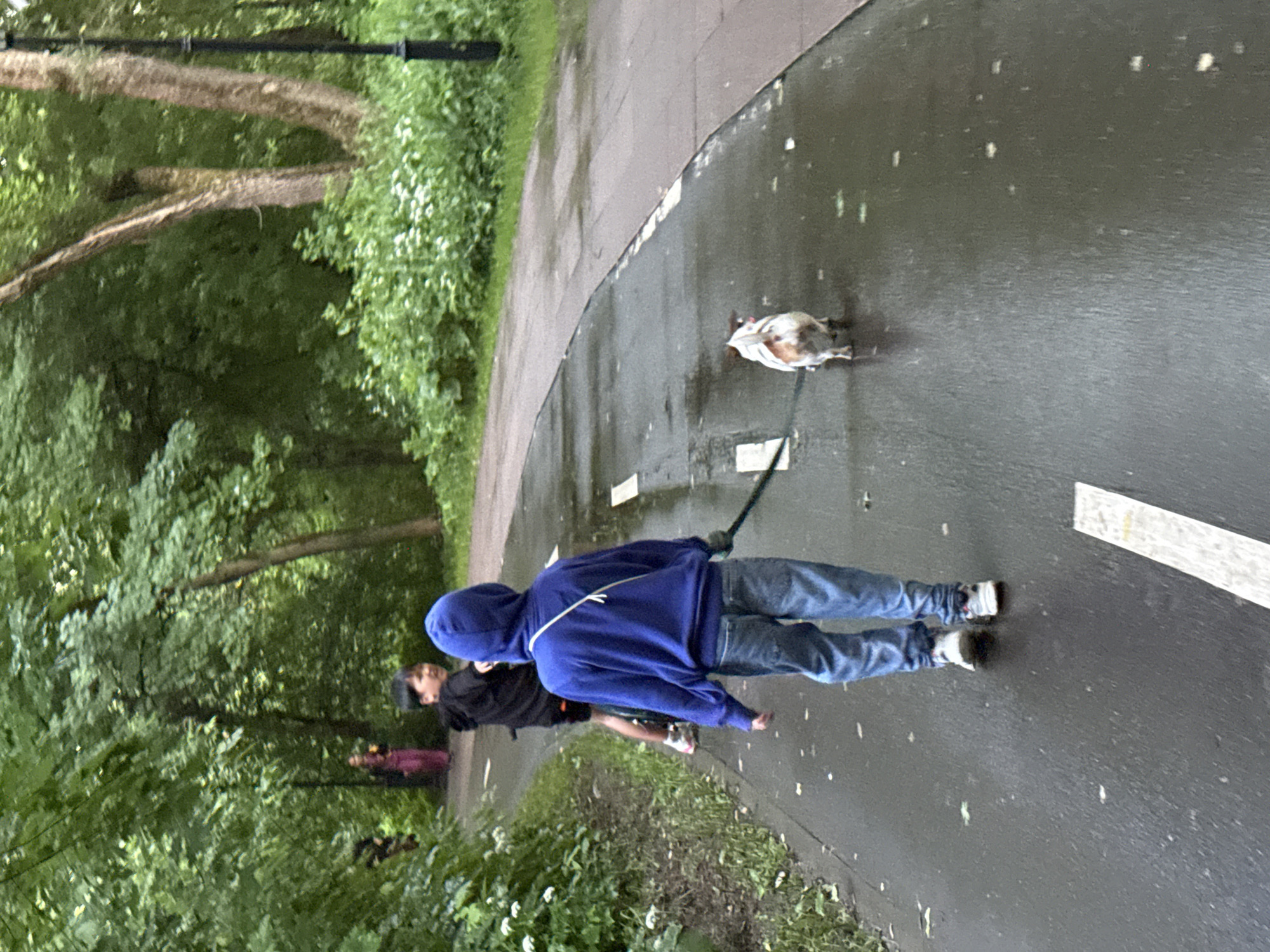 A person, viewed from behind and wearing a blue hooded sweatshirt and blue jeans, walks on a wet, paved path through a wooded area, with a small dog on a leash beside them. Another person, a child wearing a black hooded sweatshirt, is seen in the background on a bicycle. Further in the distance, another person in a pink garment is visible. The environment appears to be a park with lush green trees and foliage, and the path has white markings. The overall impression is that of a casual walk in a natural setting within a city. Based on the provided hints which showcase elements typically found in Moscow's parks such as the specific type of street lamps and dense foliage, this scene is likely situated in Moscow, Russia.