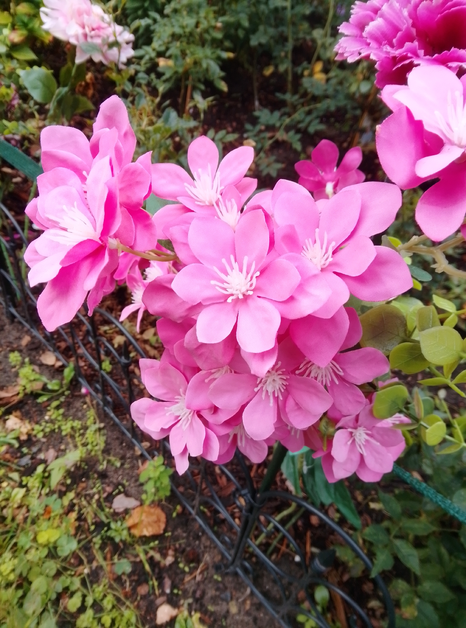 The image shows a cluster of vibrant pink artificial flowers in the foreground, situated outdoors. The flowers are detailed with delicate white stamens in the center of each bloom. Behind the pink flowers, there are out-of-focus, blurred flowers in lighter shades of pink and magenta, as well as green foliage. A black metal fence runs horizontally across the bottom half of the image, partially obscuring the ground which appears to be covered in soil, fallen leaves, and small green plants. The overall scene suggests a decorative garden or a floral display, possibly in an urban setting given the presence of the fence. The specific location in the city of Wedel, Germany, cannot be determined from the visual information alone. There are no people or animals present in the image, and no discernable actions or interactions are taking place.