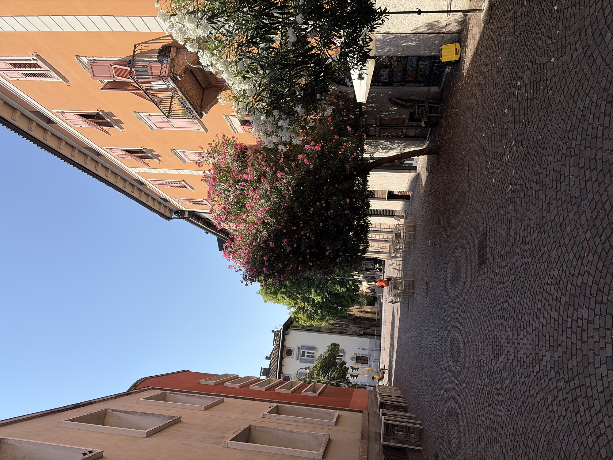 The image shows a street scene in Trento, Italy, on a clear, sunny day. The street is paved with dark cobblestones and lined with buildings. On the left, a building with a salmon-colored facade and cream-colored window frames is visible. Across the street, a bright orange building features pink shutters on its windows and a small balcony with an iron railing.
In the foreground, there are tables and chairs set up outside what appears to be a cafe or restaurant. Two trees with abundant pink and white flowers stand prominently in the mid-ground. Further down the street, more tables and chairs are visible, and a few people are present. One person is seated at a table, and two others are standing near some tables. A yellow trash bin is placed near the curb on the right side of the street. The sky is a clear, bright blue.