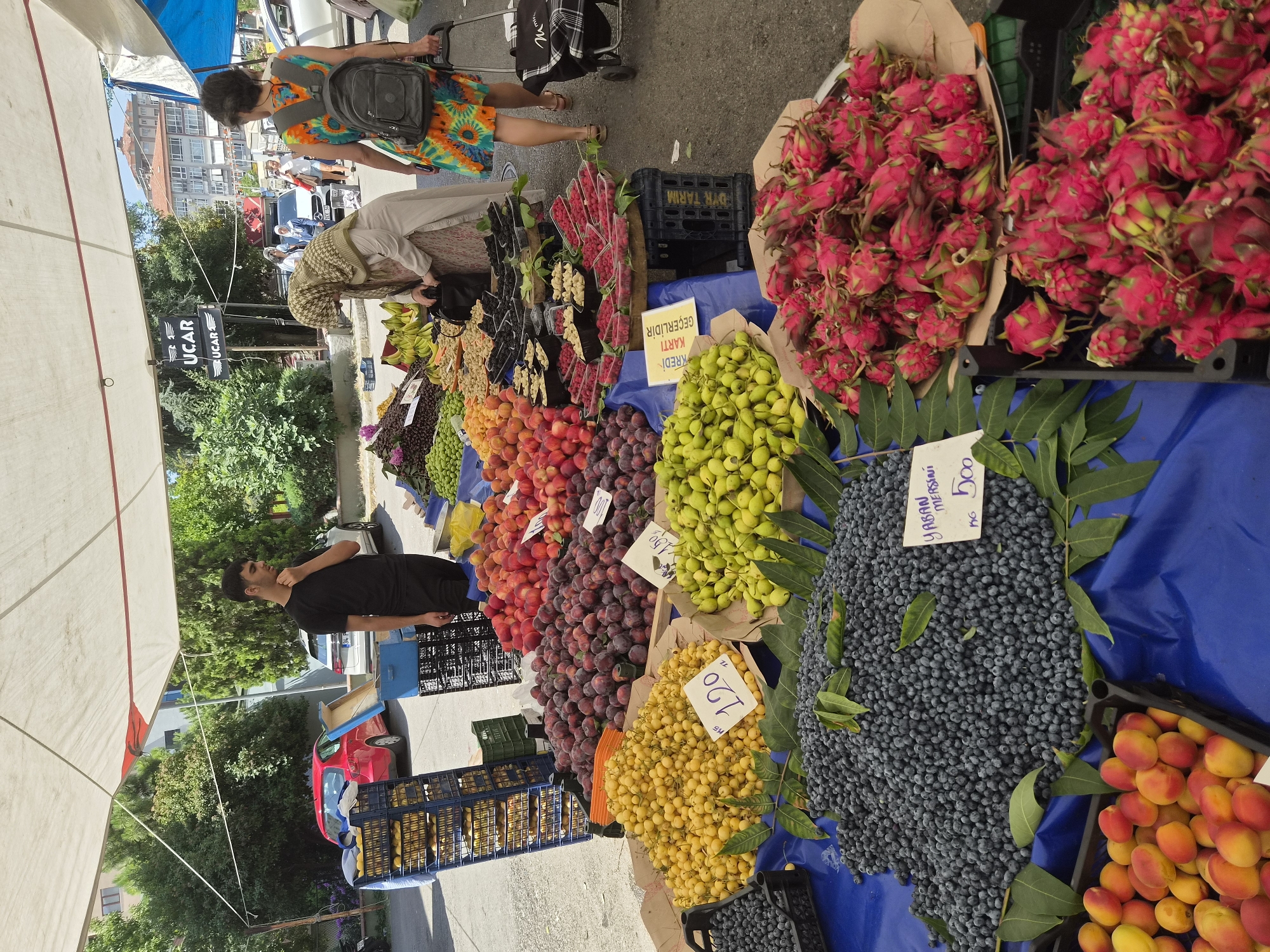 In Maltepe, Turkey, a bustling outdoor market stall is displayed under a large white canopy, offering a vibrant assortment of fresh produce. The scene is dominated by a colorful array of fruits, including piles of dark purple plums, bright yellow cherries, and lighter green pears. In the foreground, a large mound of dark blue berries sits on a blue tarp, with a handwritten sign in Turkish indicating "YABAN MERSINI 500". Next to them, a black crate overflows with small, yellow and orange fruits, likely apricots. Further back, pink dragon fruits are stacked in paper-lined trays and plastic crates, their vibrant colors contrasting with the other fruits.
Several people are present at the market. A young man in a black t-shirt stands behind the fruit stall, looking downwards. A woman wearing a headscarf and a long, light-colored dress examines a bag, her focus drawn to the produce. Behind her, a woman with dark hair, wearing a brightly colored floral dress and a backpack, pulls a wheeled cart. In the background, cars are parked, and buildings are visible, suggesting an urban environment. The ground is paved, and leafy green trees provide a backdrop to the market scene. The overall impression is one of a lively, local marketplace.