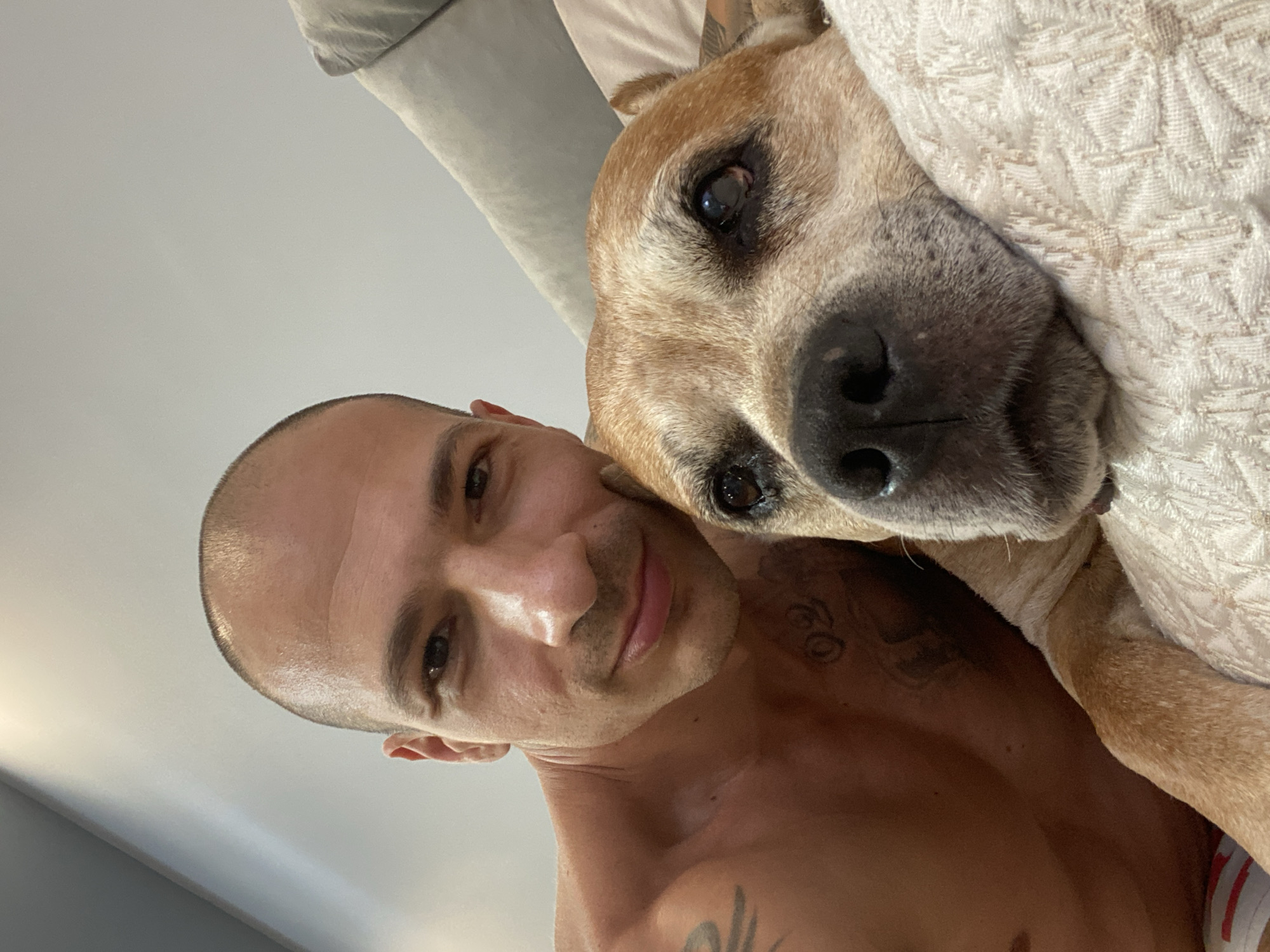 A close-up, selfie-style photograph features a bald, shirtless man with tattoos on his left shoulder and chest, positioned on the left side of the frame. He is leaning his head towards a tan-colored dog, whose head is resting on a light-colored textured cushion on the right. The dog's eyes are open, and it appears to be looking slightly off-camera. The background consists of a neutral-colored wall or ceiling, with a subtle grey gradient visible on the upper left. The image is well-lit, with the focus primarily on the man and the dog. There is no discernible indication of the city of Pleven, Bulgaria within the image.