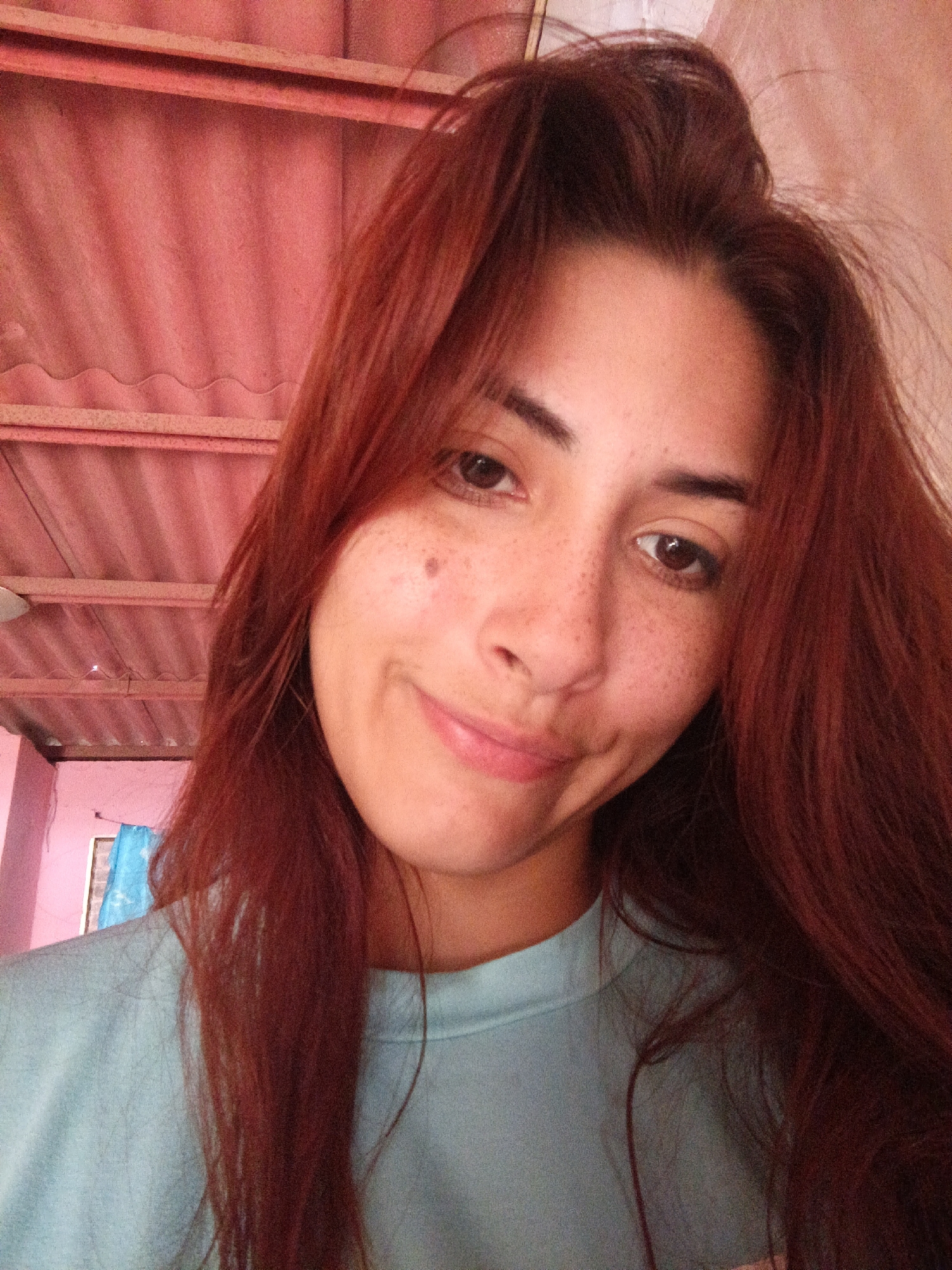 A medium close-up, selfie-style portrait of a young woman with auburn hair. She has light skin, brown eyes, and freckles. She's wearing a light blue shirt. The background shows a pink corrugated roof and walls, indicating a likely residential setting. The location is Juan Griego, Venezuela, based on context, and appears to be an interior space within a home or building.