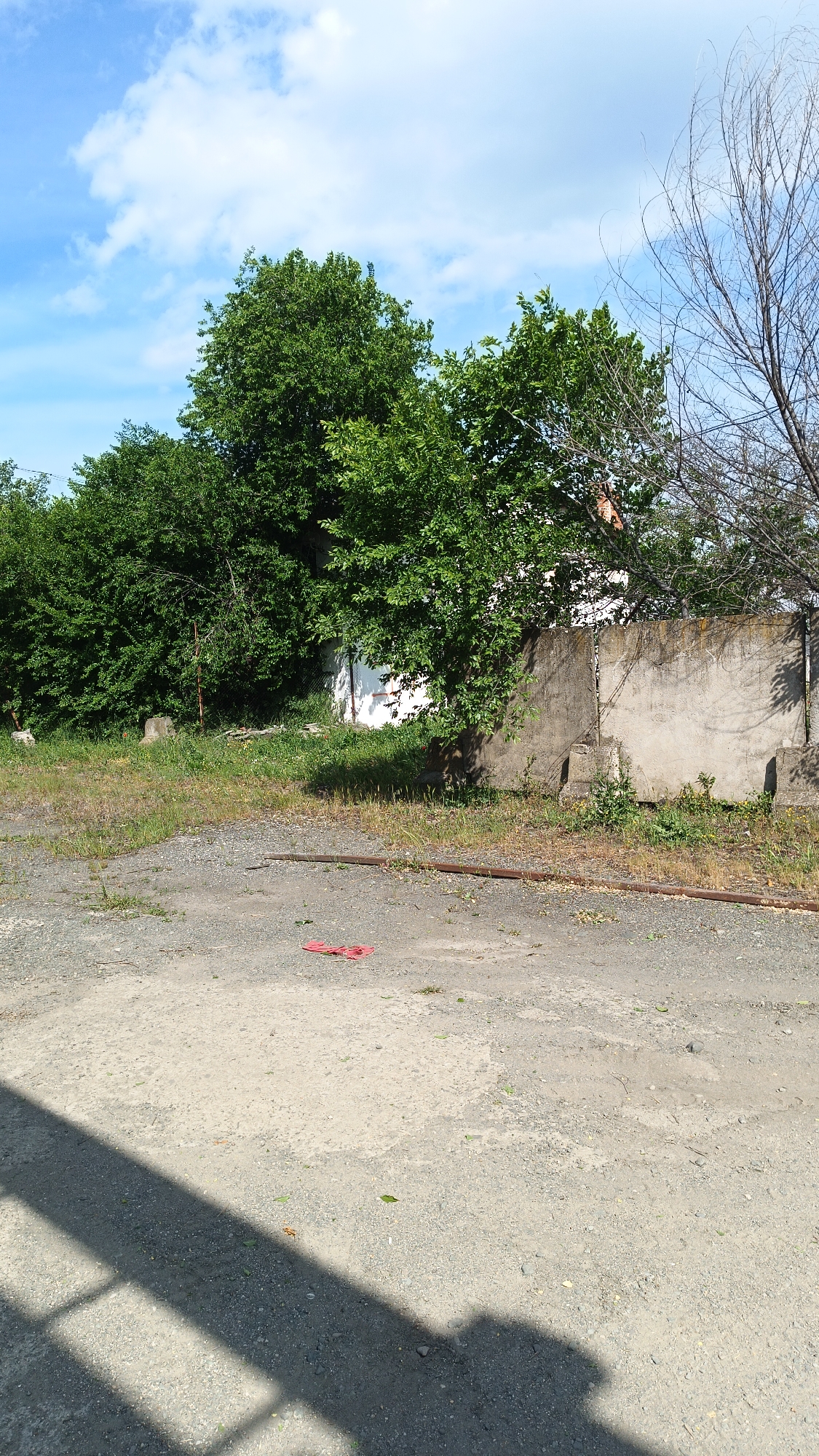 The image depicts an outdoor scene in a location identified as Unknown, Unknown. The foreground is dominated by a gravel or dirt surface with a red rag lying on it and a shadow cast across it. Further back, there's a strip of grass and weeds. A concrete wall runs horizontally across the scene, with trees and other vegetation growing behind it. Bare tree branches are visible on the right side of the wall. In the background, a white building can be seen through the trees. The sky is blue with scattered clouds. There are no people visible in the image.