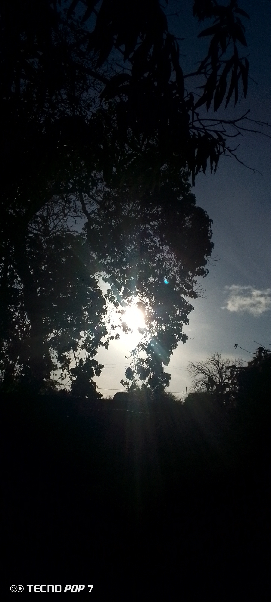 The image captures a natural scene dominated by the dramatic silhouette of dense tree foliage against a bright sun, likely at sunrise or sunset. The sun, positioned towards the lower center, radiates intensely, creating prominent lens flares and backlighting the foreground trees. This effect renders the numerous leaves and branches in a deep, dark silhouette, obscuring most of their detail.
Behind the silhouetted canopy, the sky appears as a gradient, brightest around the sun and transitioning to a deep, dark blue towards the top and left. A few scattered white clouds are visible in the upper right quadrant of the sky. Through sparse gaps in the foliage, particularly on the right side, faint outlines of distant, bare tree branches and possibly utility poles or lines can be discerned on the horizon. The setting suggests a rural or semi-rural environment, consistent with Altagracia, Venezuela.
The powerful backlighting and the low angle of the sun strongly indicate either the early morning or late evening. The weather appears clear with some clouds. The visible text "TECNO POP 7" is present in the bottom left corner, indicating the camera or phone model.
