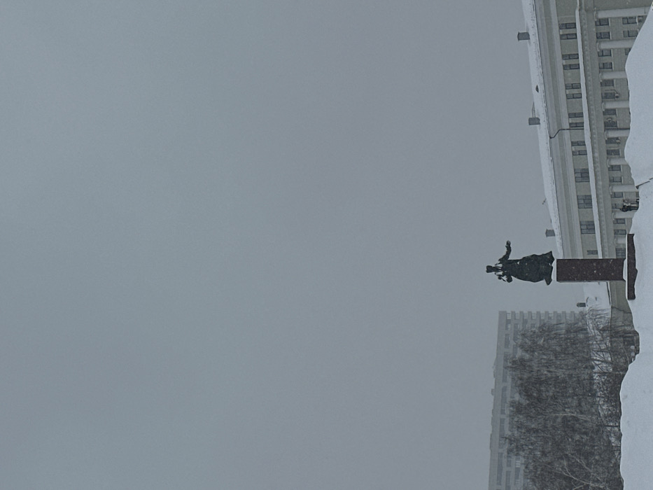 The image captures a winter scene in Millennium Square (Ploshchad Tysyacheletiya), Kazan, Russia, under a uniformly overcast grey sky with visible snowfall.
The central subject is the bronze monument to Musa Jalil, depicting a male figure standing on a tall, rectangular pedestal constructed of reddish-brown granite. The figure is clad in what appears to be a long coat, with his left arm outstretched to the side.
The foreground is dominated by a thick, undisturbed bank of white snow. To the left of the monument, several bare deciduous trees are visible, their branches heavily laden with fresh snow and partially obscured by the falling snow. Beyond these trees, a tall, multi-story building with numerous windows, light grey in color, is partially discernible in the distance.
To the right of the monument stands the National Museum of the Republic of Tatarstan, a large, multi-story building with a light-colored facade, a snow-covered roof, and numerous rectangular windows. Its lower level features architectural elements resembling columns or pilasters. Several small, indistinct human figures are visible on the snow-covered ground near the base of this museum building, suggesting pedestrian activity.
The overall environment is characterized by heavy snow cover, low visibility due to the inclement weather, and a predominantly monochromatic palette of whites, greys, and dark tones from the monument and tree trunks.