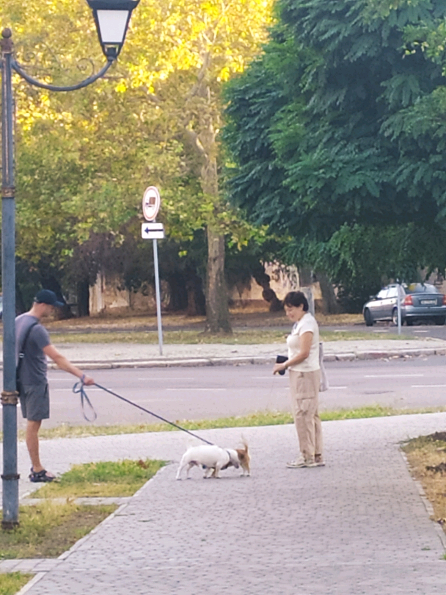 In Mykolaiv, Ukraine, a man in a grey t-shirt and shorts walks a small white dog on a leash along a paved sidewalk next to a street. A woman in a white t-shirt and beige cargo pants stands on the sidewalk, looking towards the man and dog, holding a dark object in her hand. The scene is framed by trees and a streetlamp, with a parked car visible in the background.