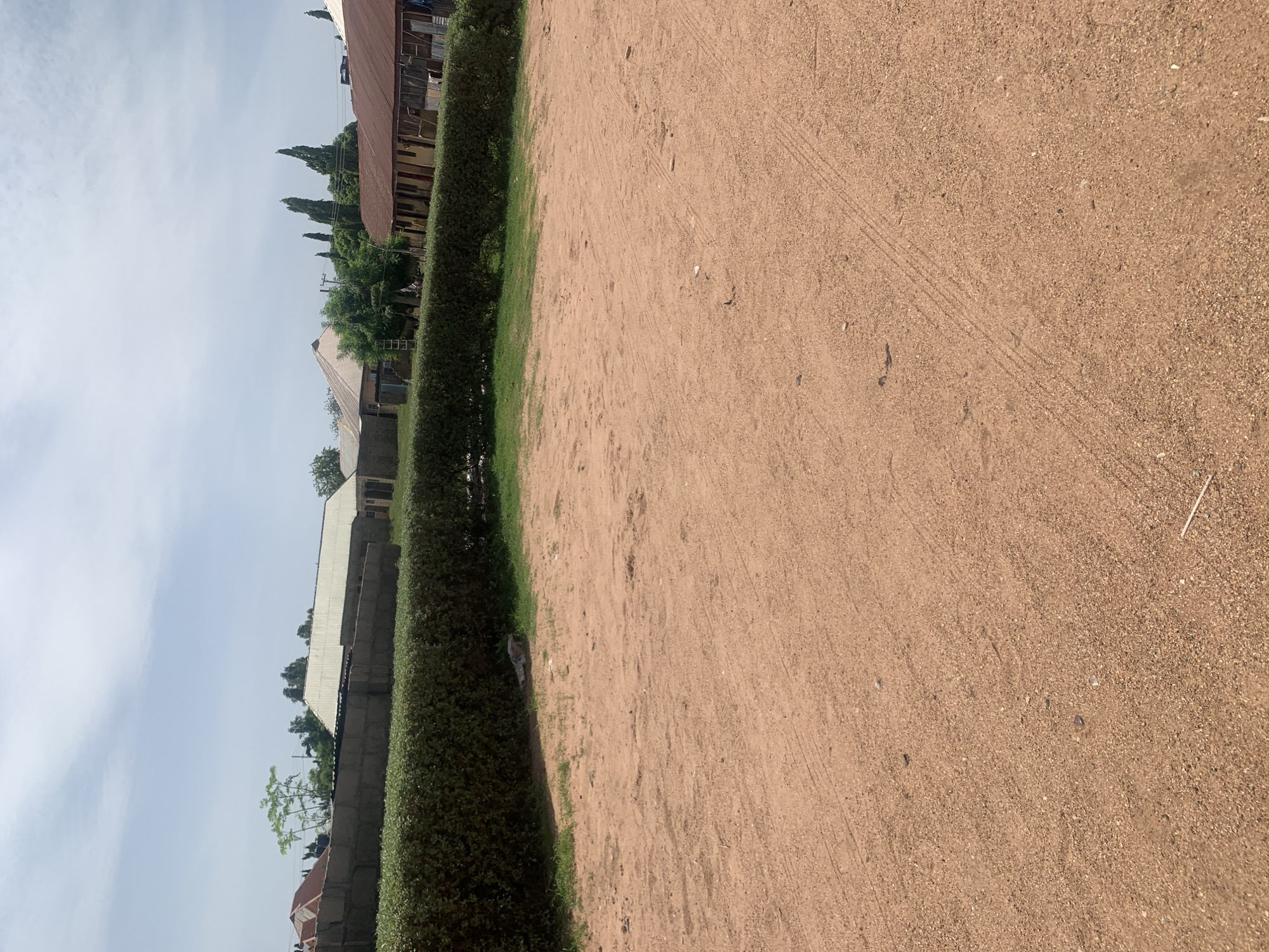 The image shows a dirt ground in the foreground with tire tracks visible. Behind the dirt ground is a neatly trimmed green hedge. Beyond the hedge, several buildings with corrugated metal roofs are visible, along with a wall constructed of concrete blocks. Tall, slender trees are scattered amongst the buildings, and the sky is partly cloudy. The scene depicts a residential area in Jauro Yinu, Nigeria.
